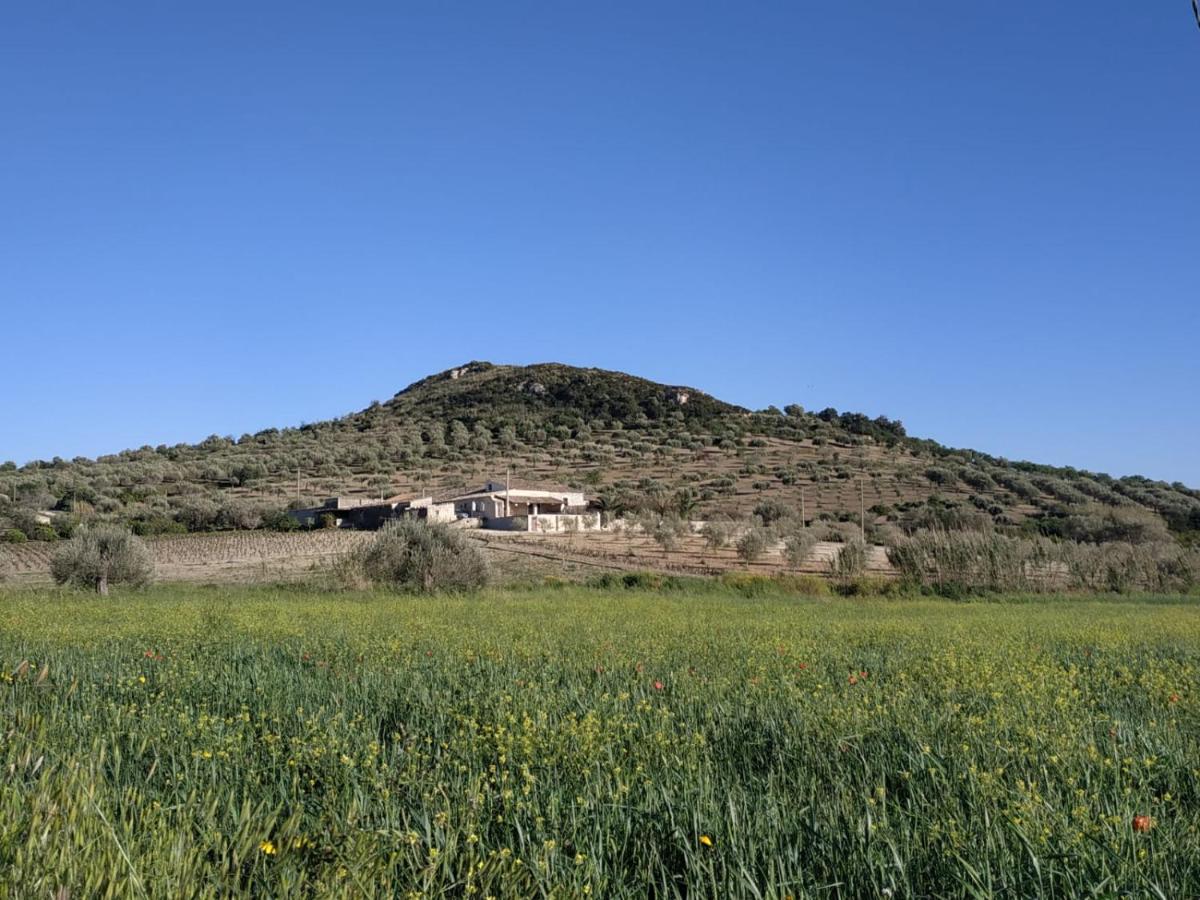 Casa Vacanze A Renna photo 4