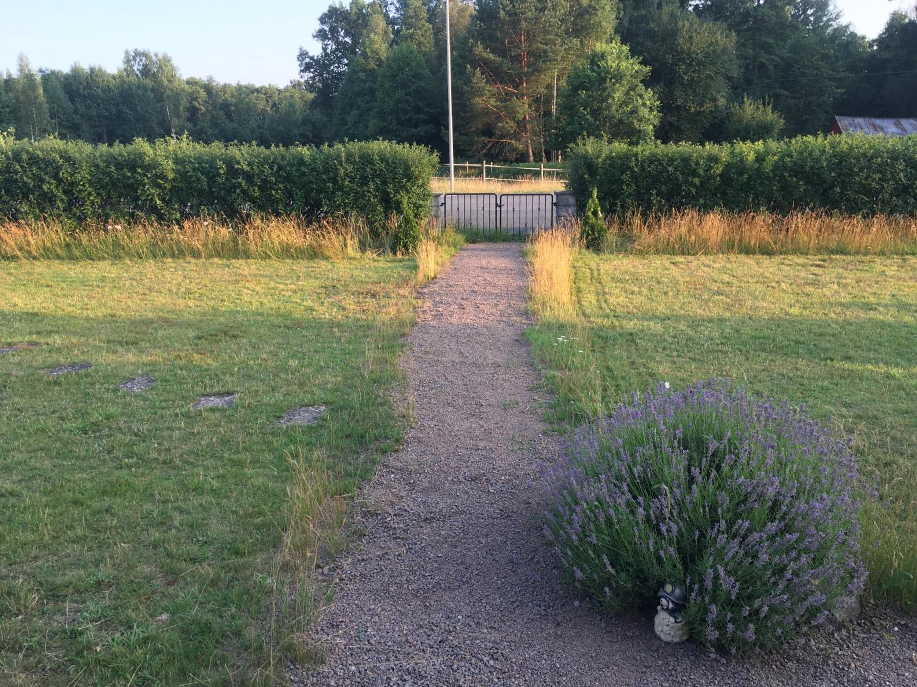 Photo 41