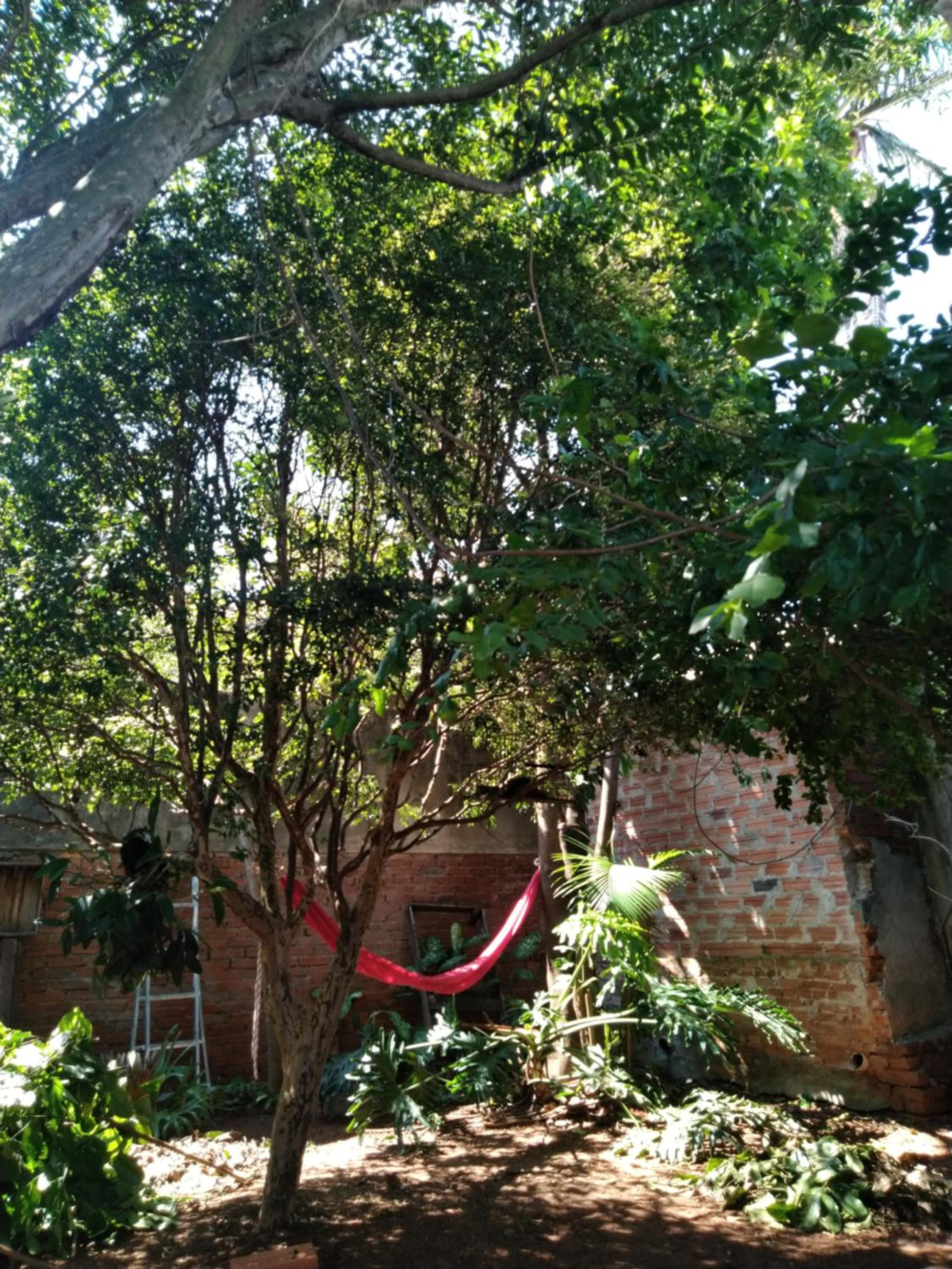 ACOMODAÇÃO Café com Arte