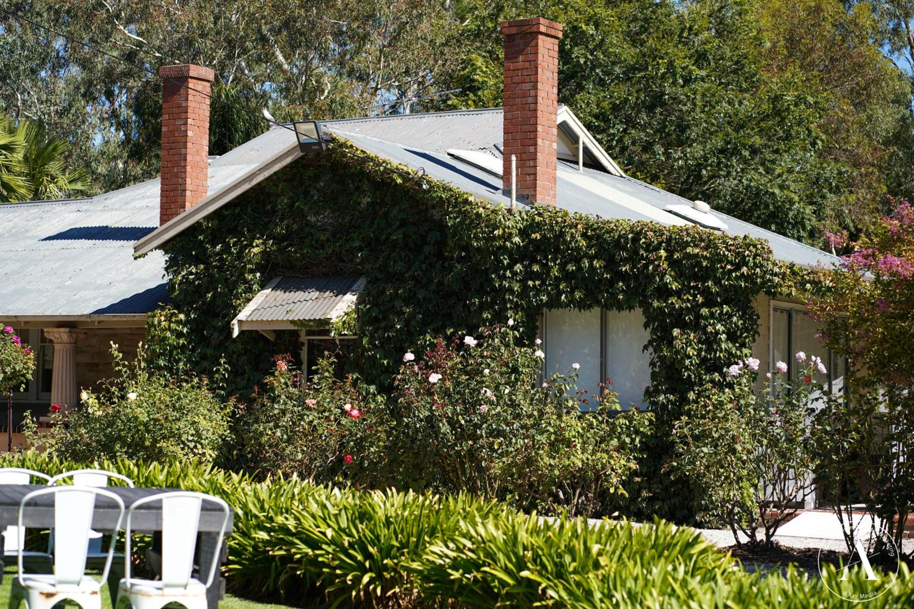The Vigneron Villa