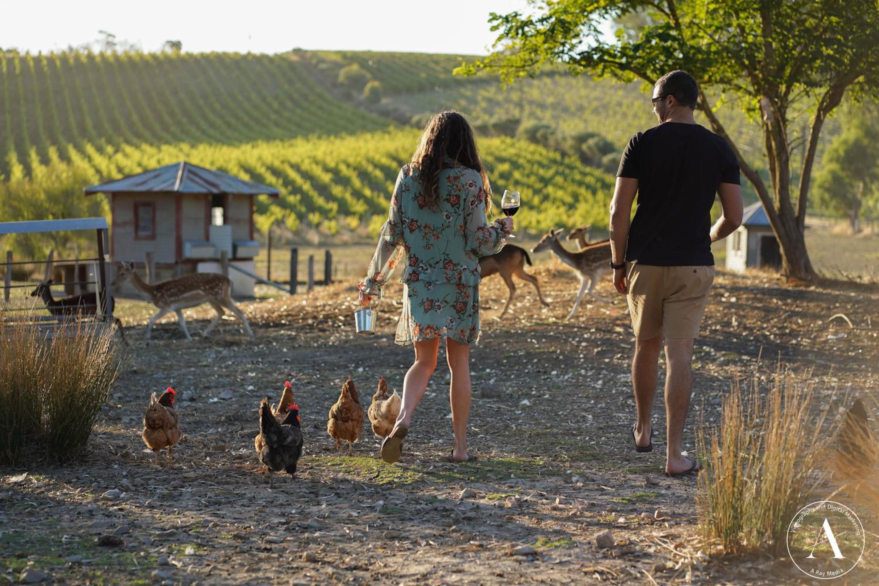 The Vigneron Villa