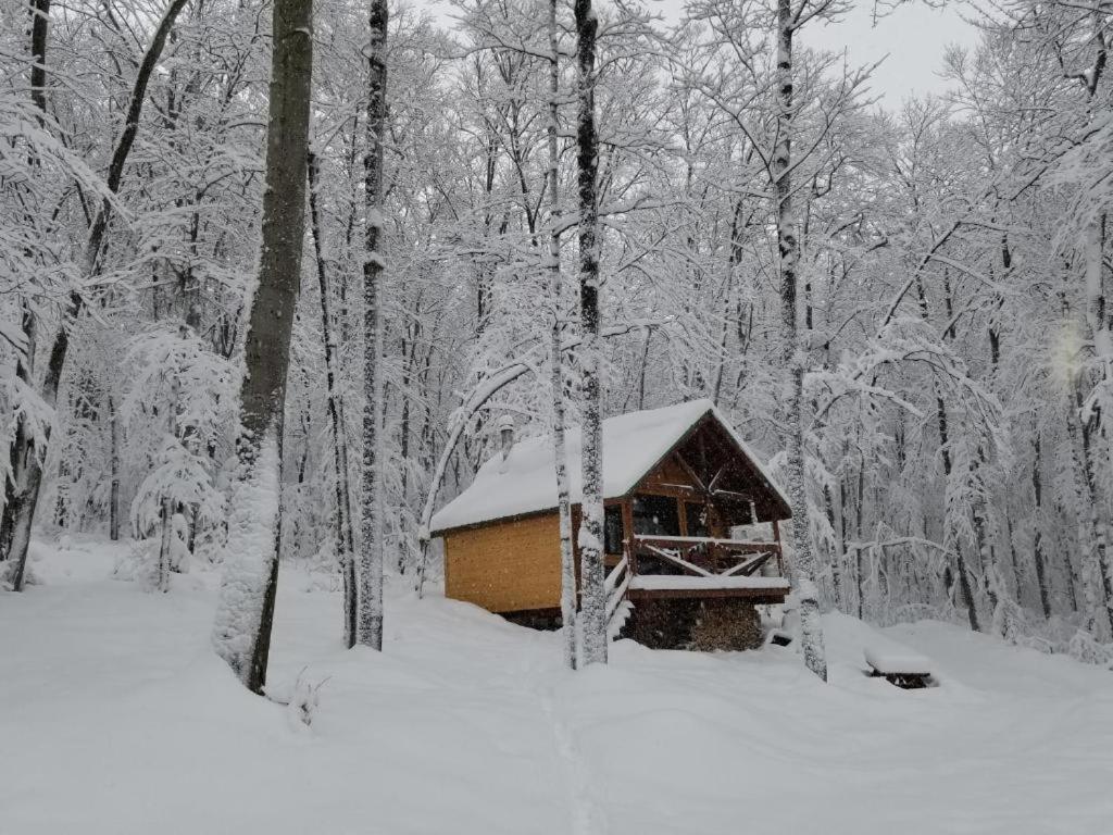 Les Cabines Nordik 2.0 view 5