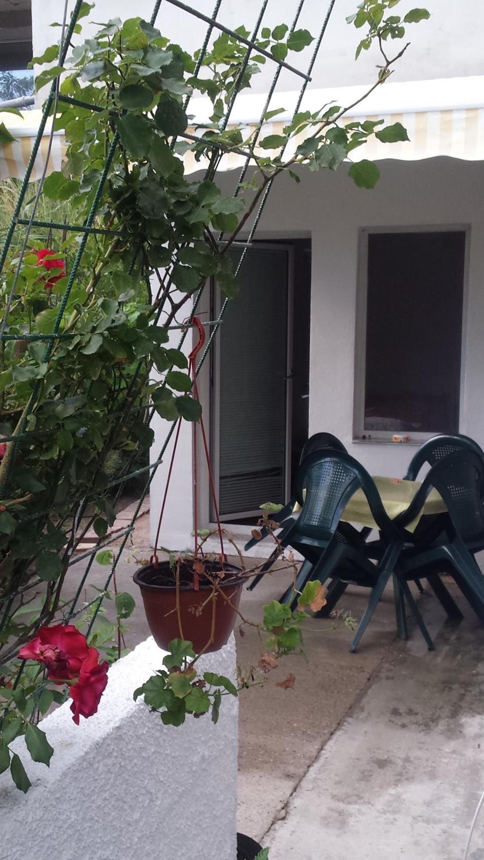 Apartmani Sunce