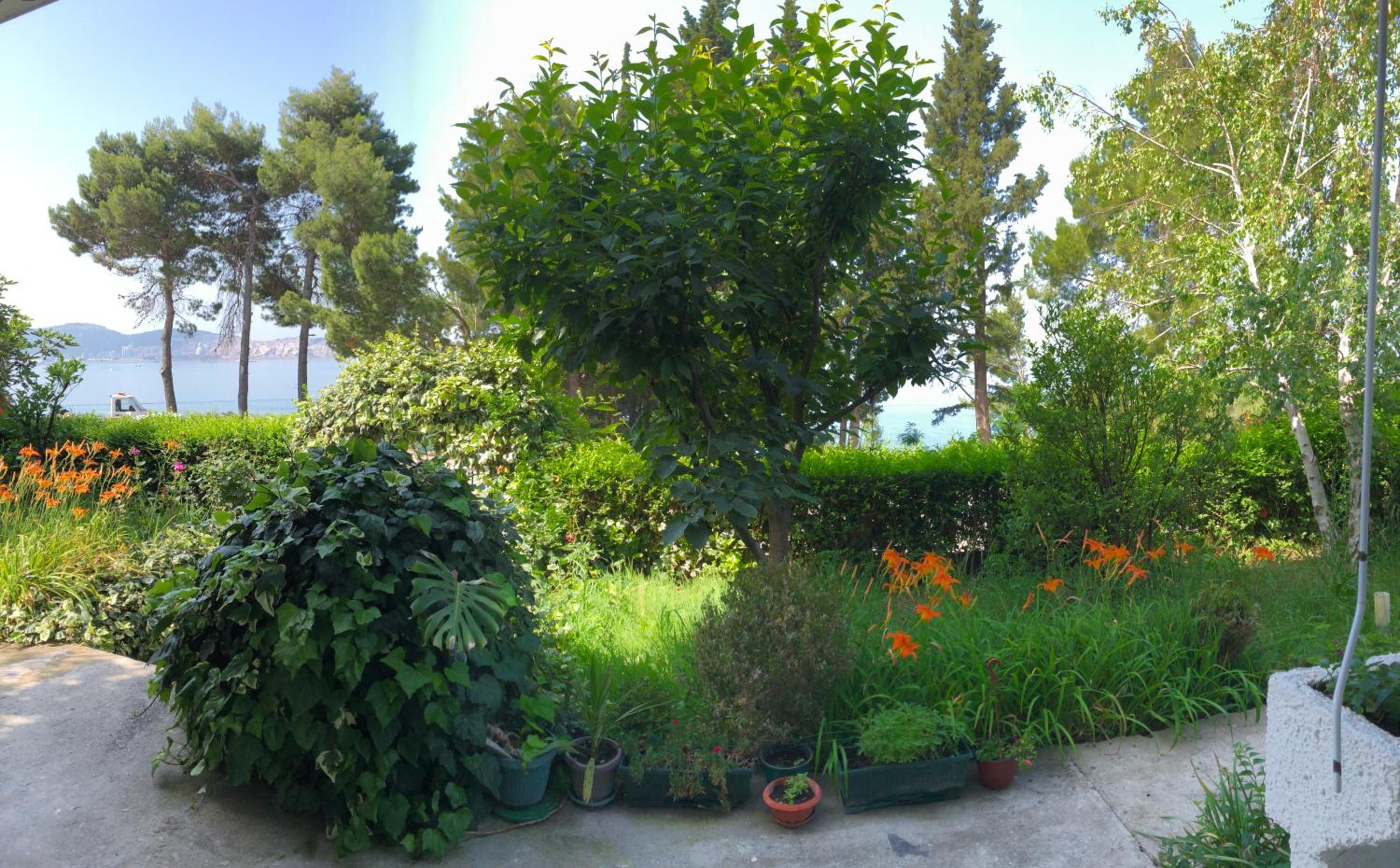 Apartmani Sunce