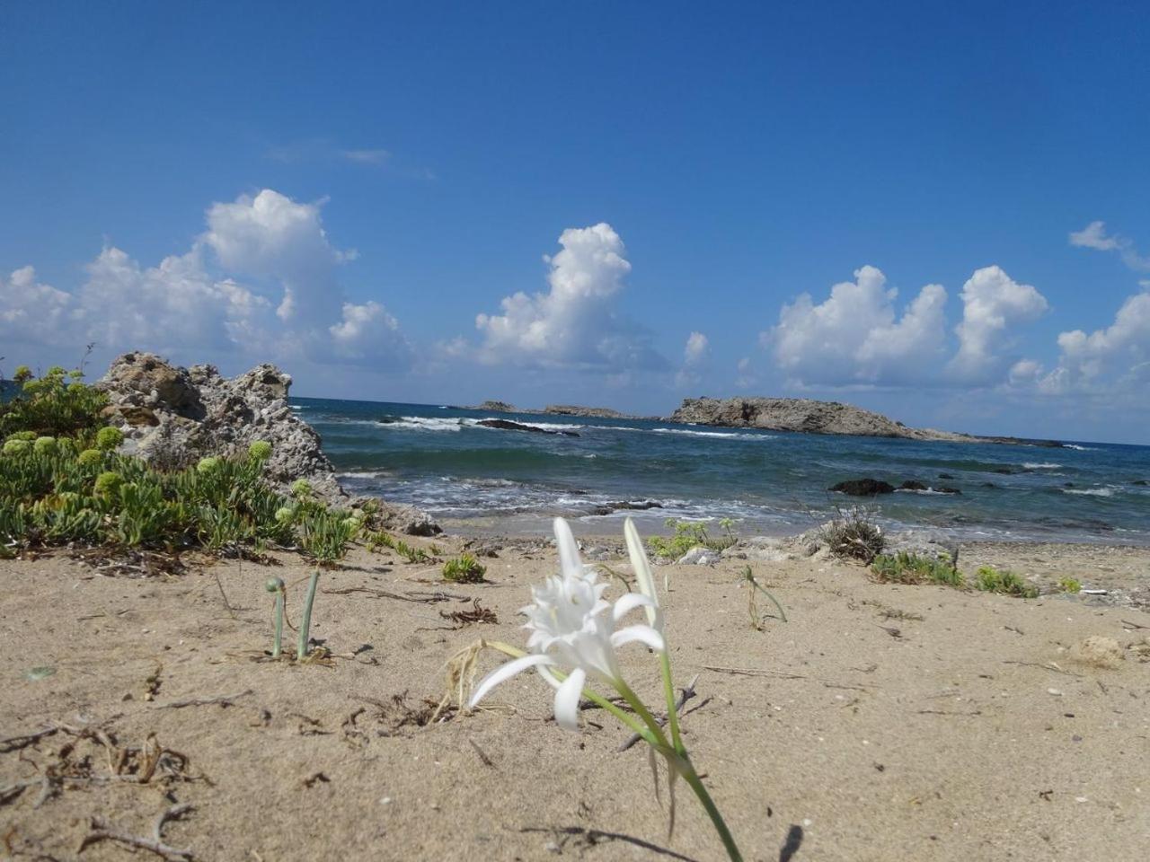 Photo 46