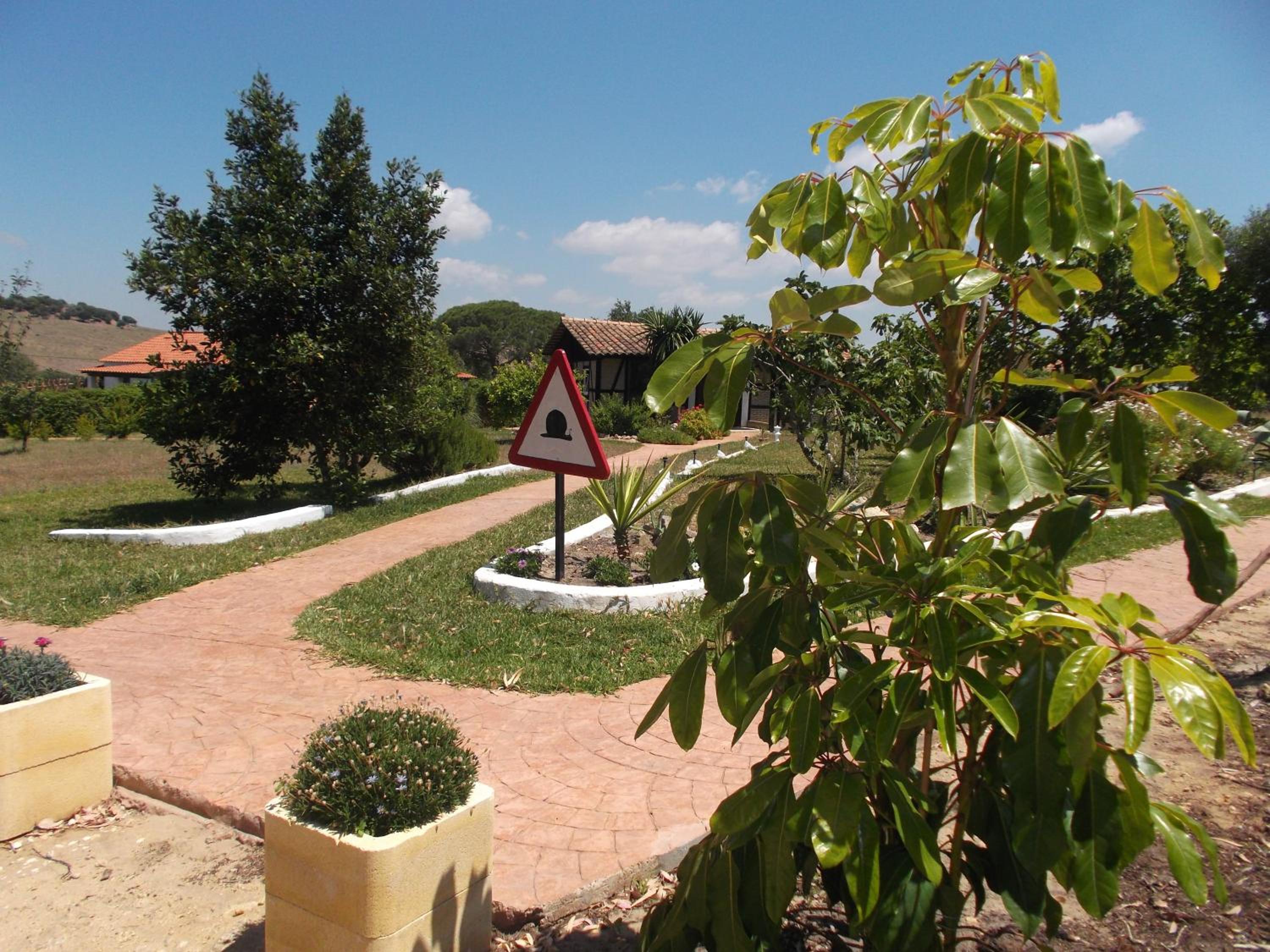 Photo 45