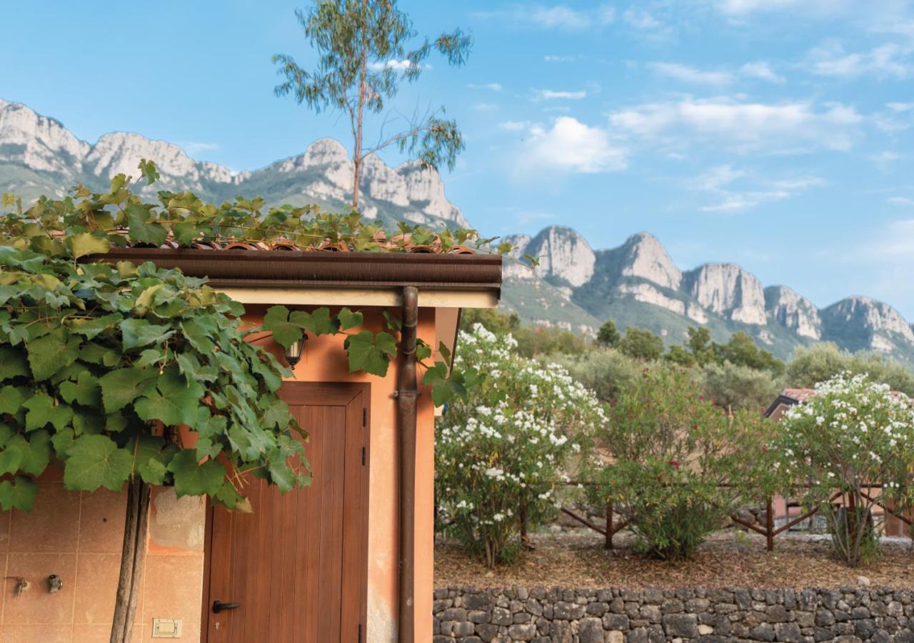 Il Sorgituro - Agriturismo view 2