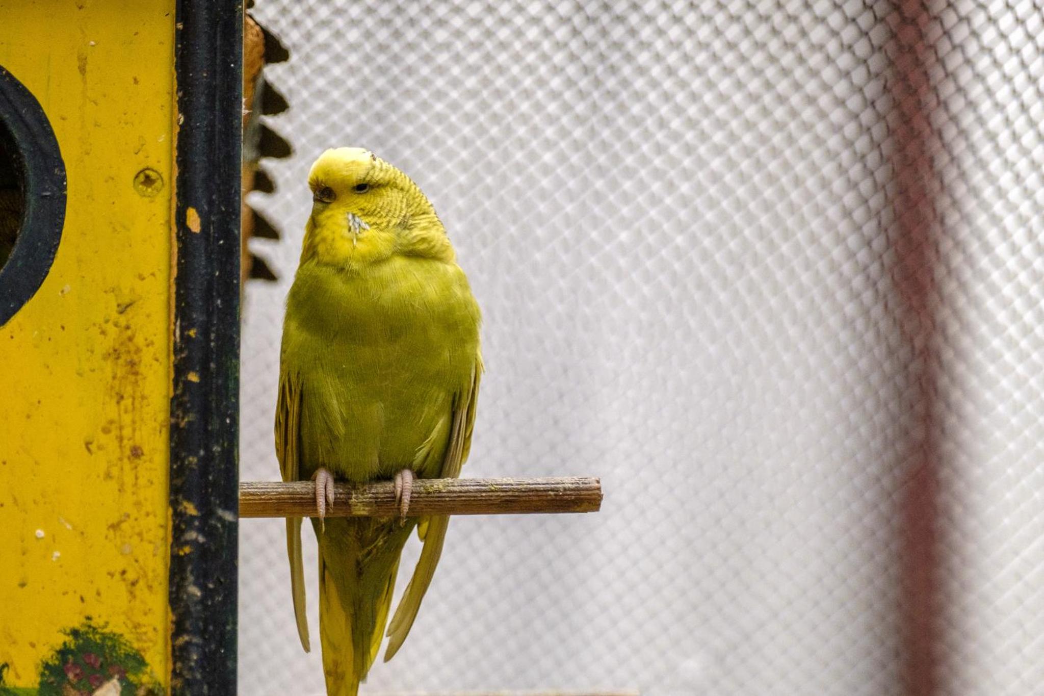 Oglakcioglu Park Boutique Hotel - Image 73