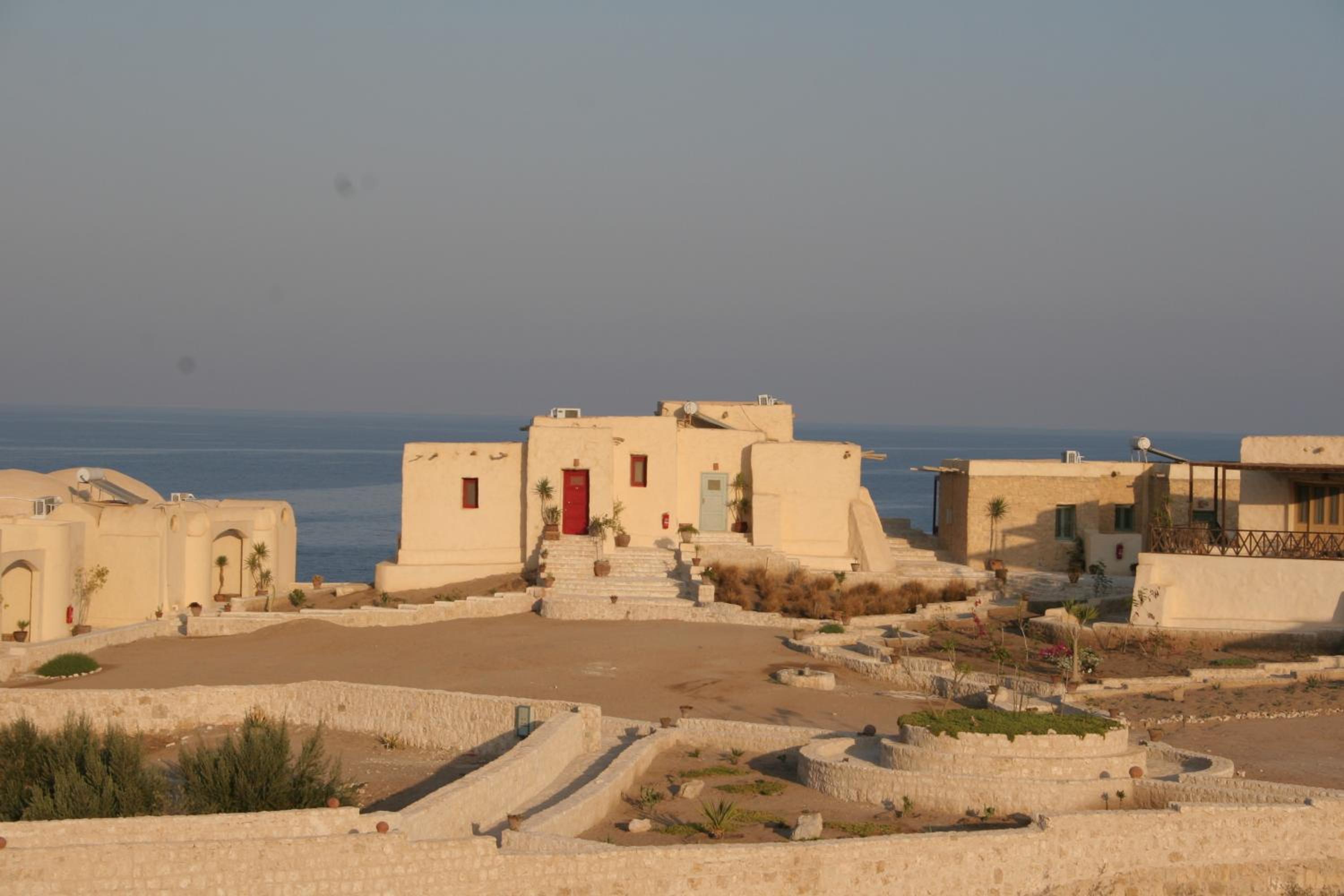 The Oasis