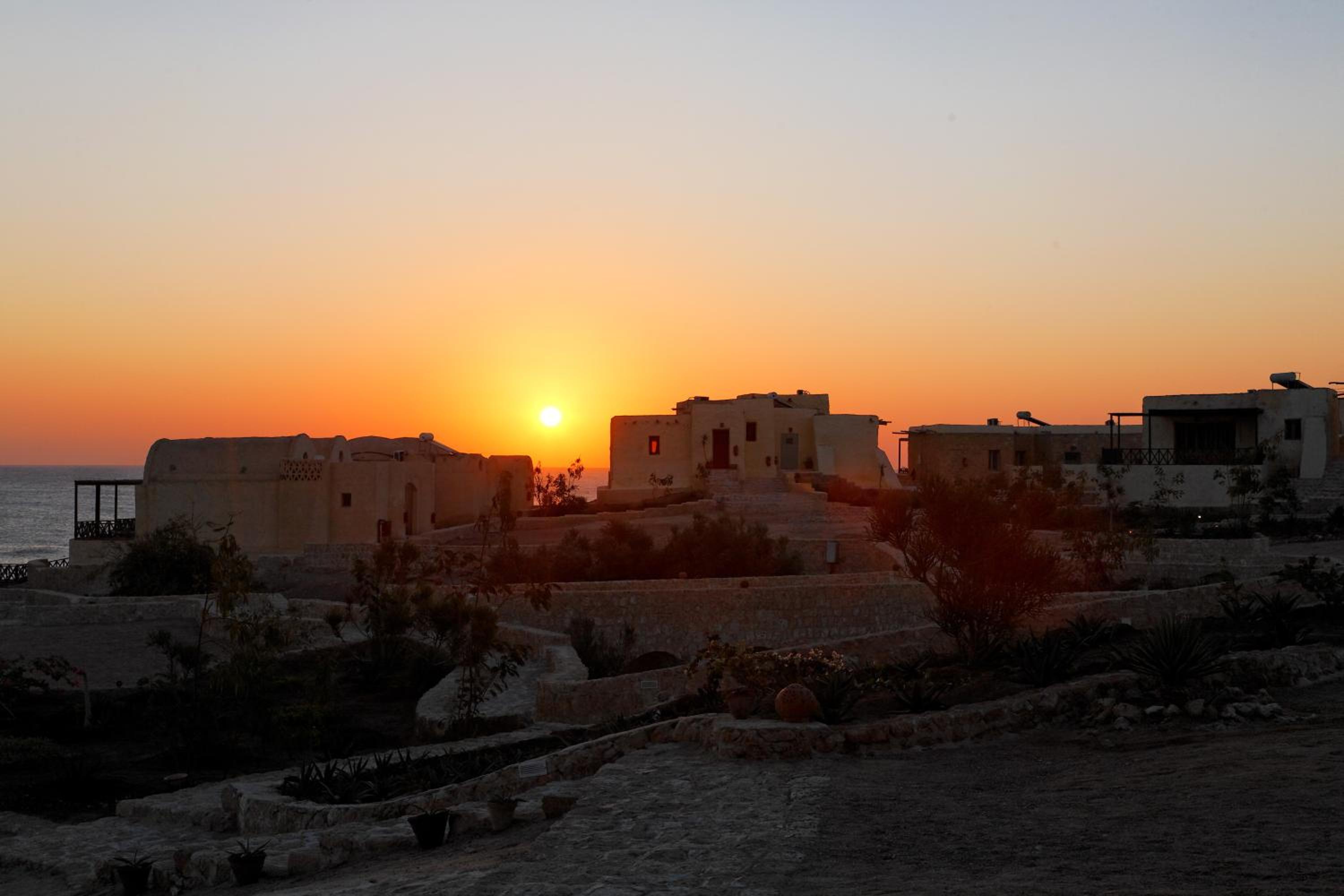 The Oasis