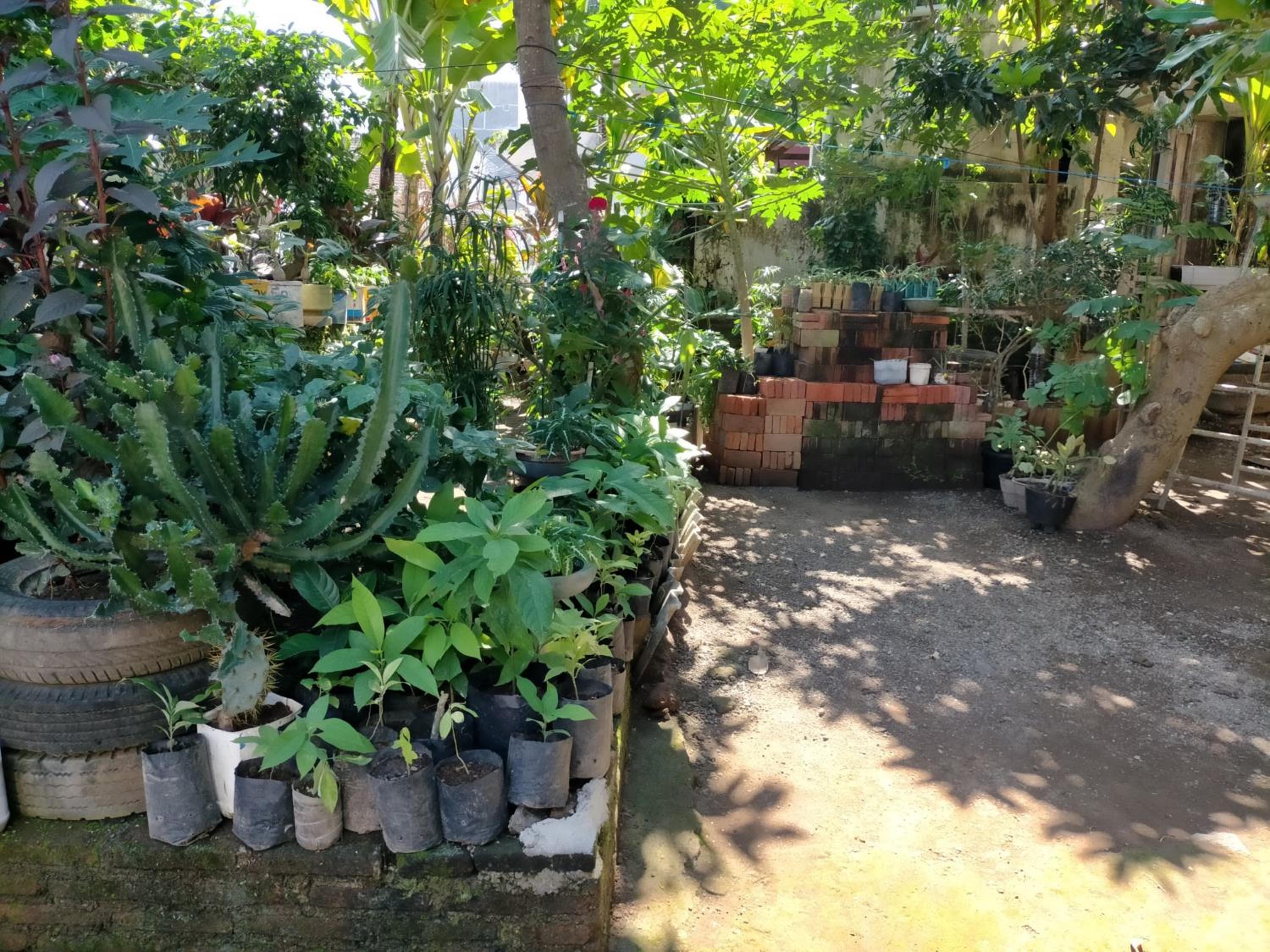 Photo 46