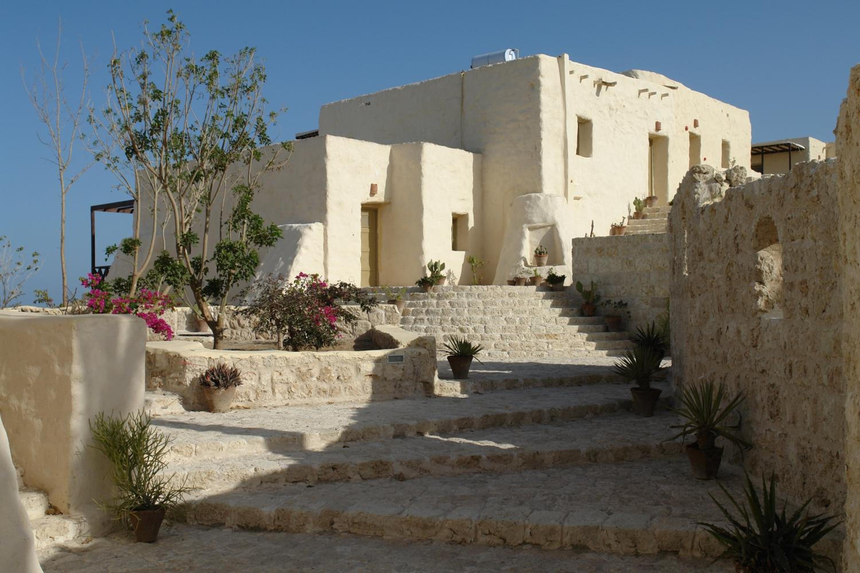 The Oasis