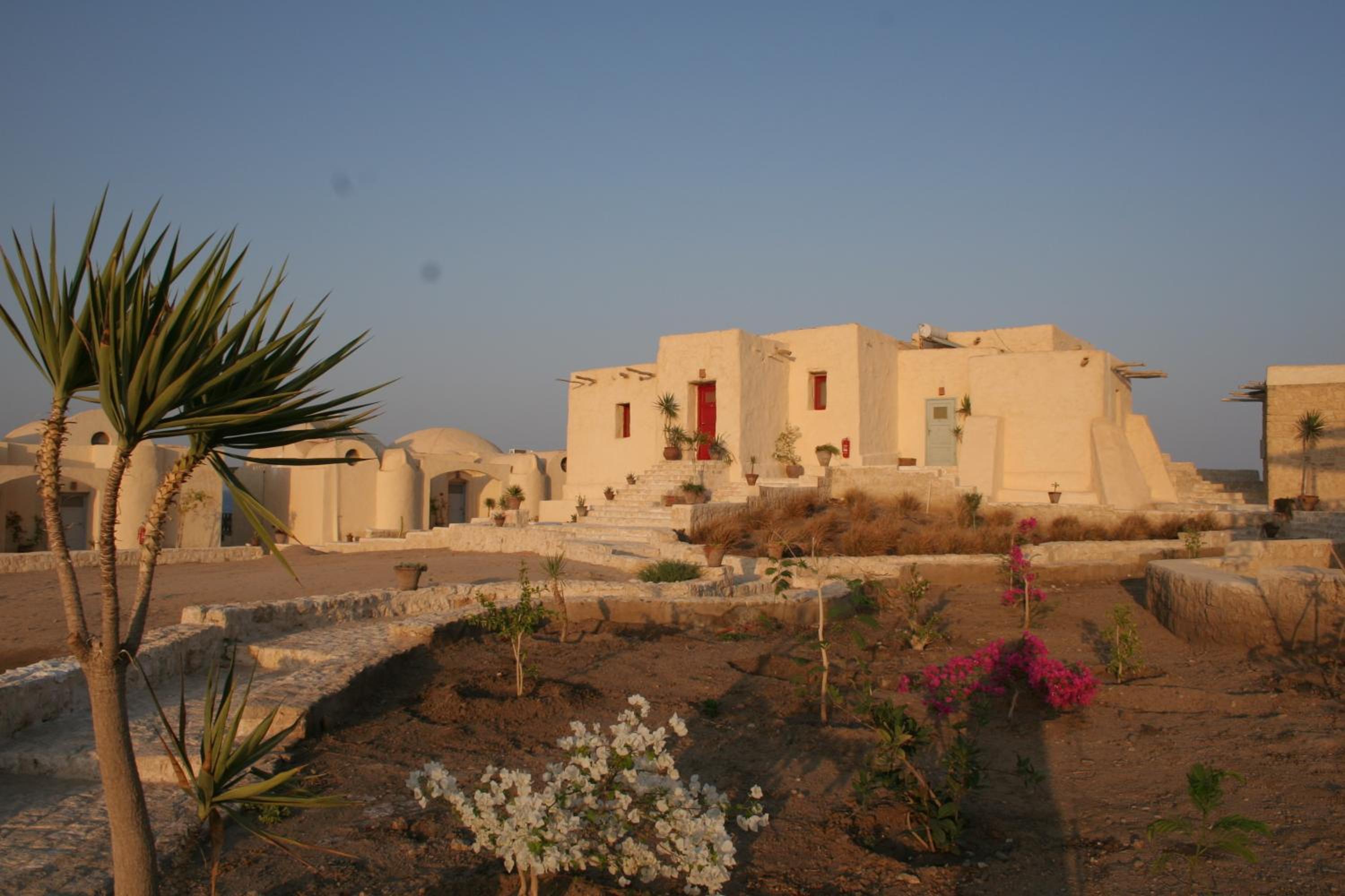 The Oasis