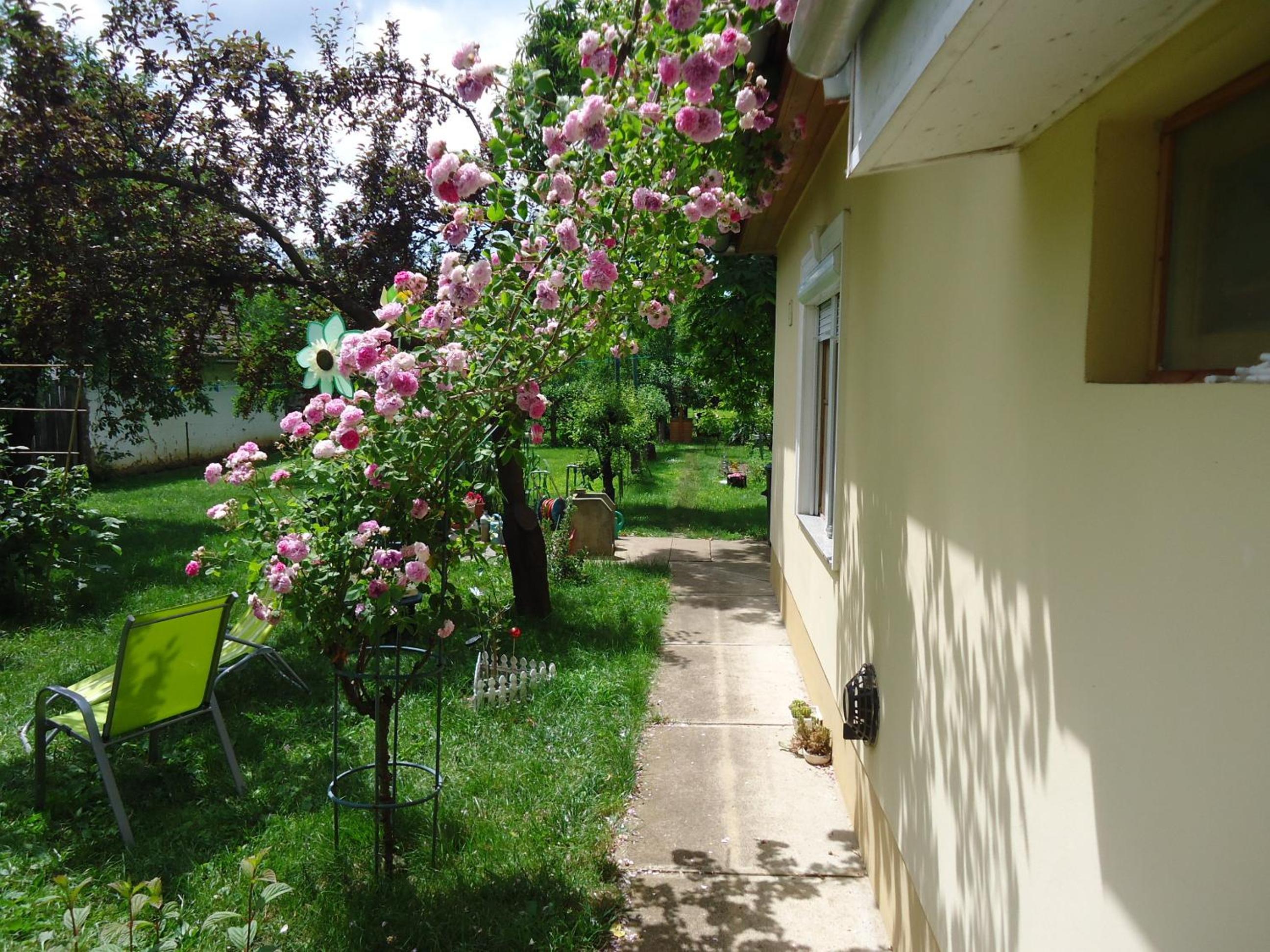 Photo 32