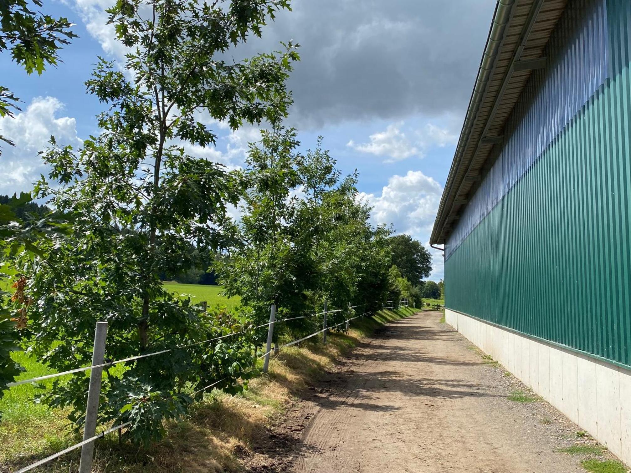 Ferienwohnung an der Reitanlage