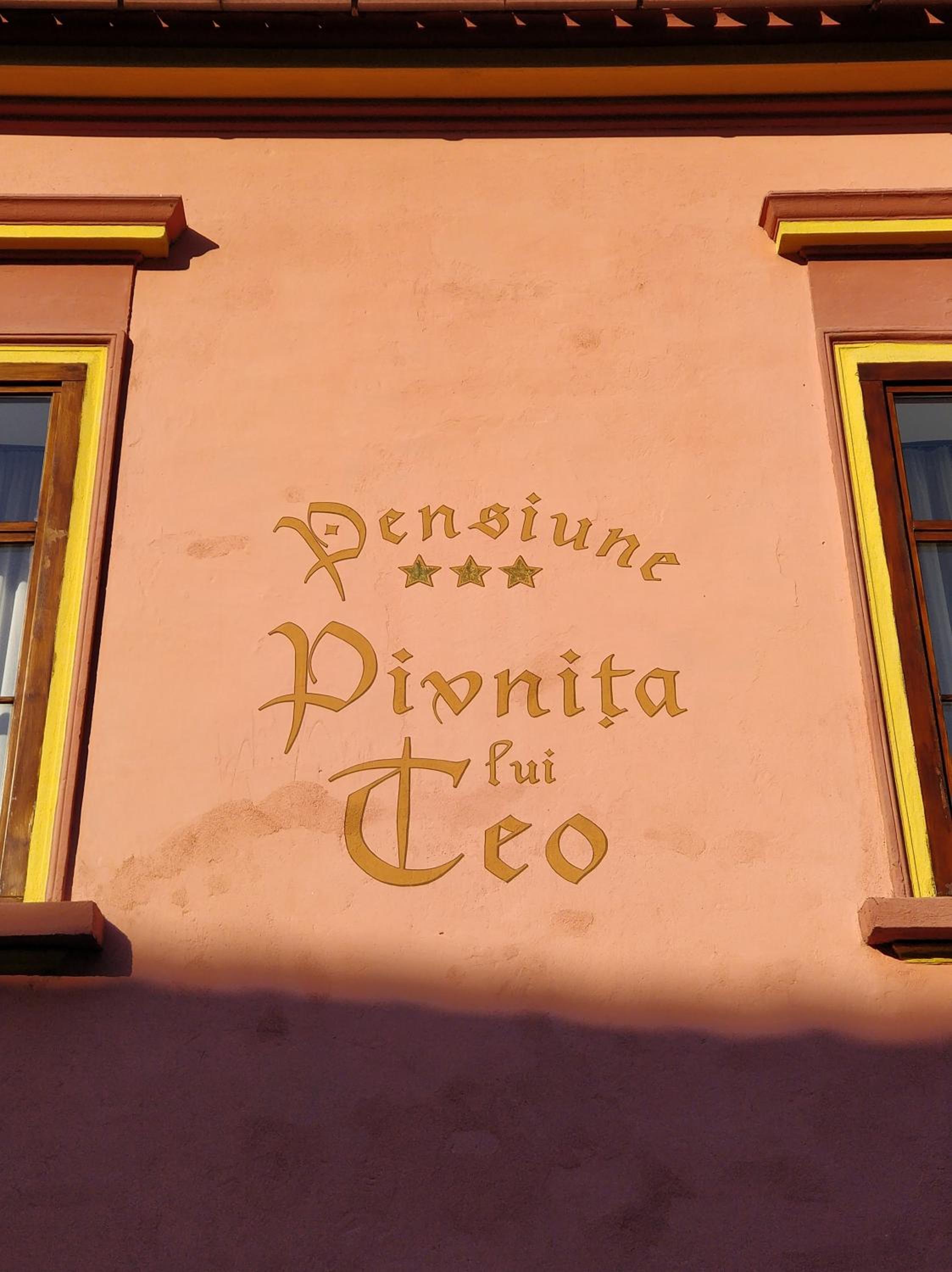 La Teo Pensiune si Pivnita