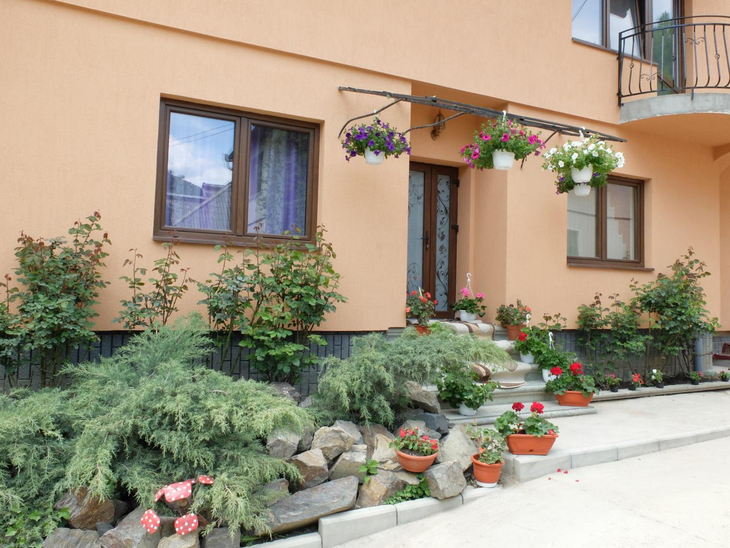 Photo 48