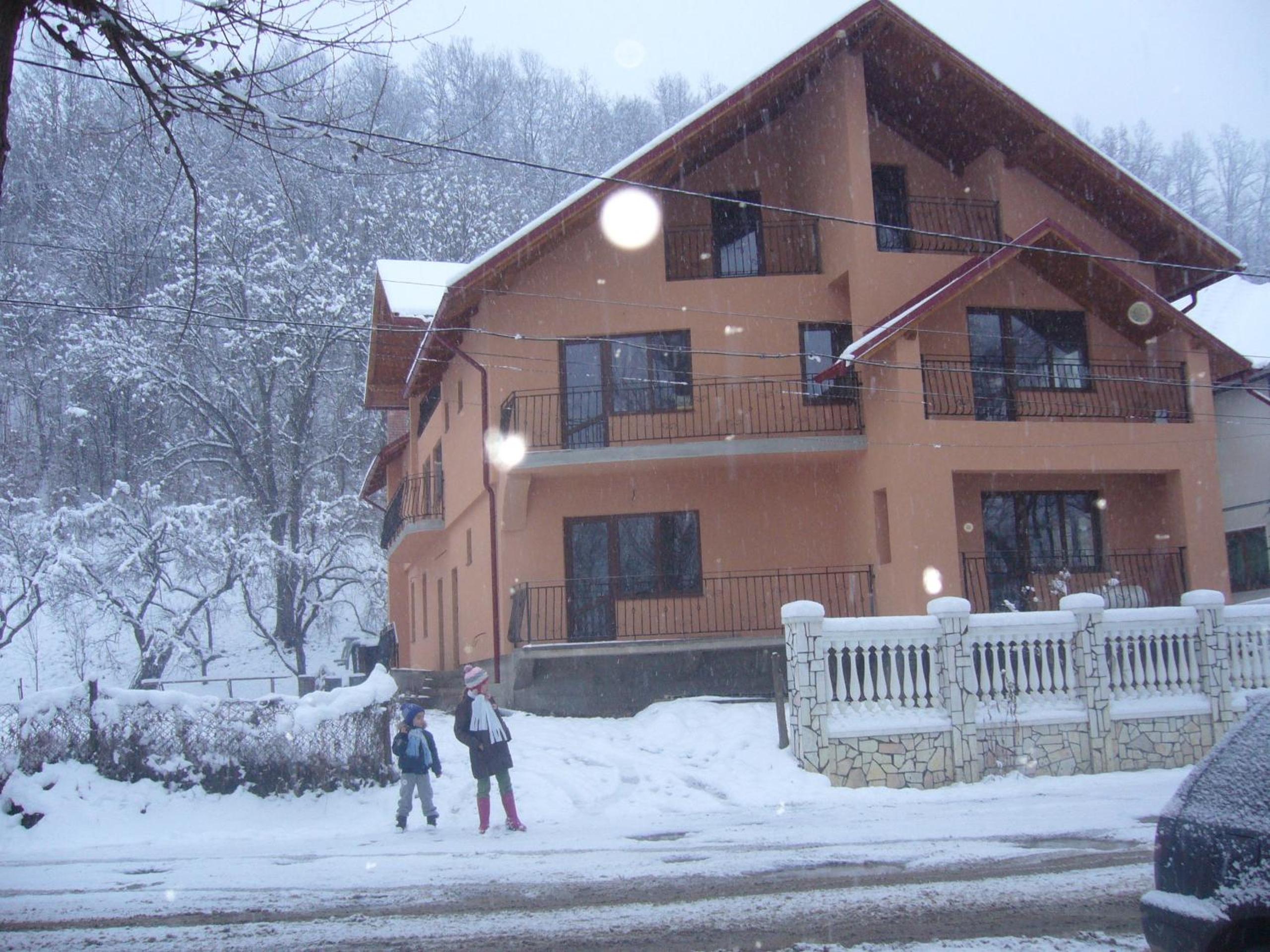 Photo 46