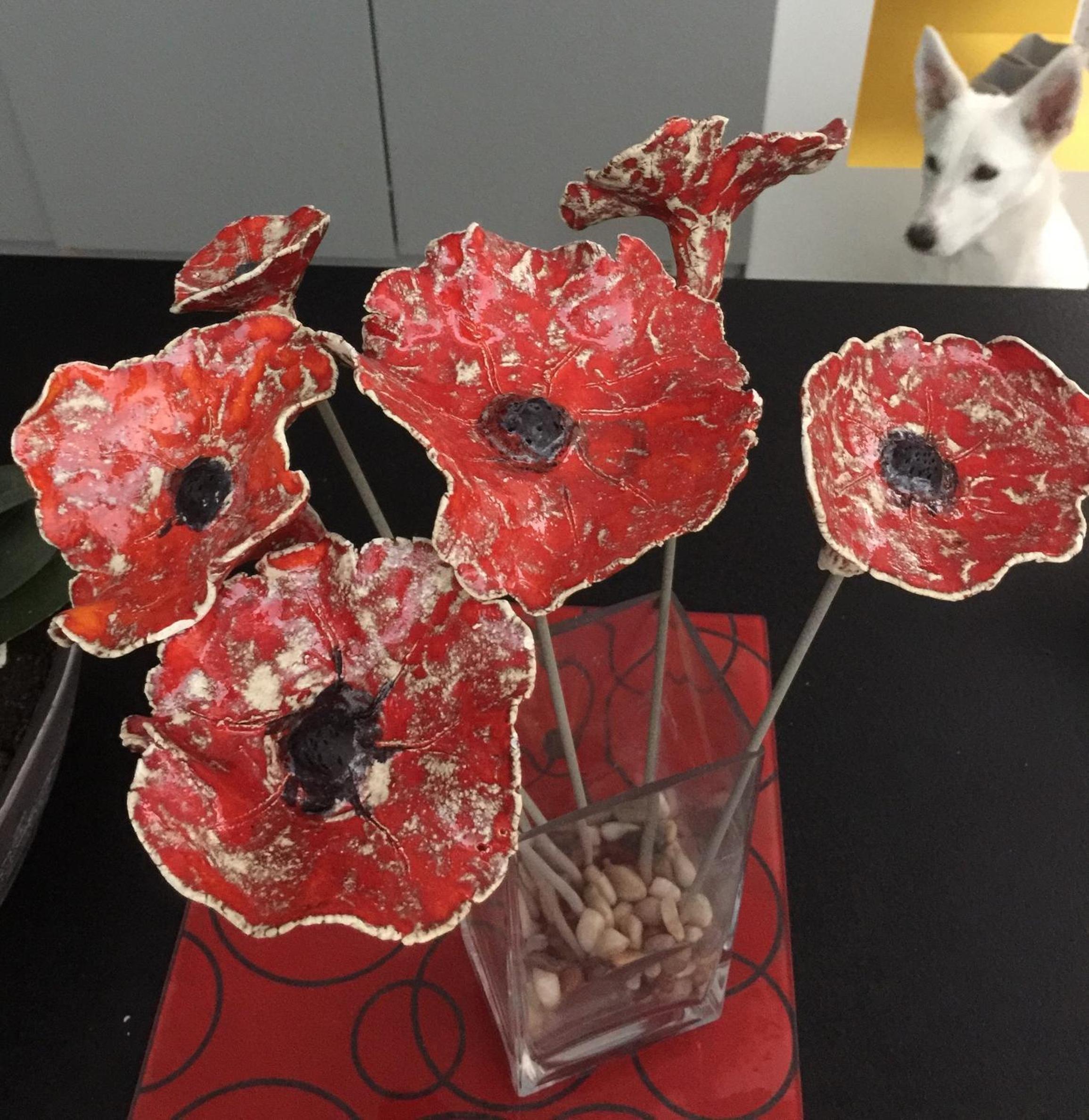 Coquelicot view 2