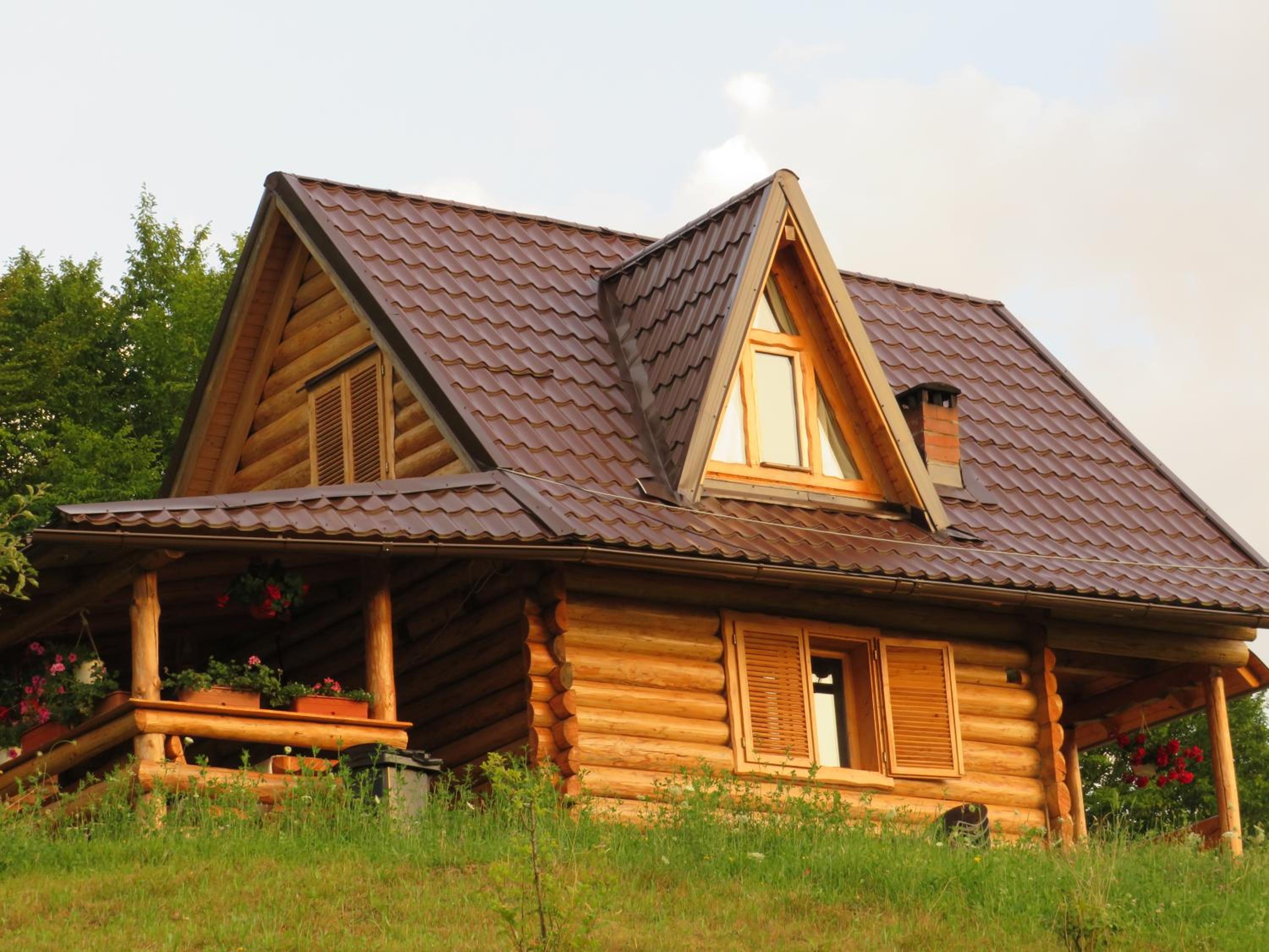 CĂSUȚA VÂNĂTORULUI view 3