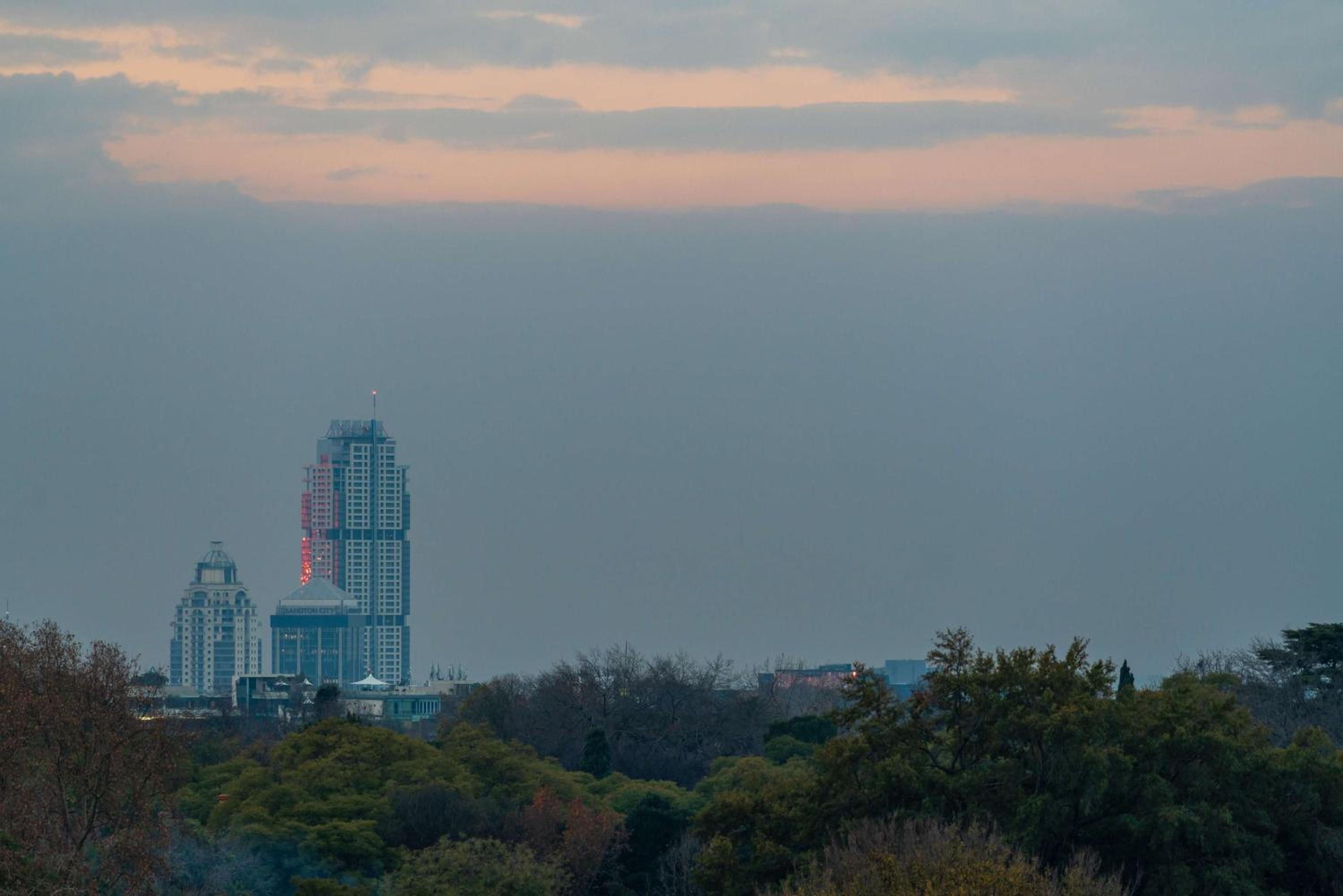 Johannesburg Vacations - Radisson RED Hotel Johannesburg Rosebank - Property Image 101