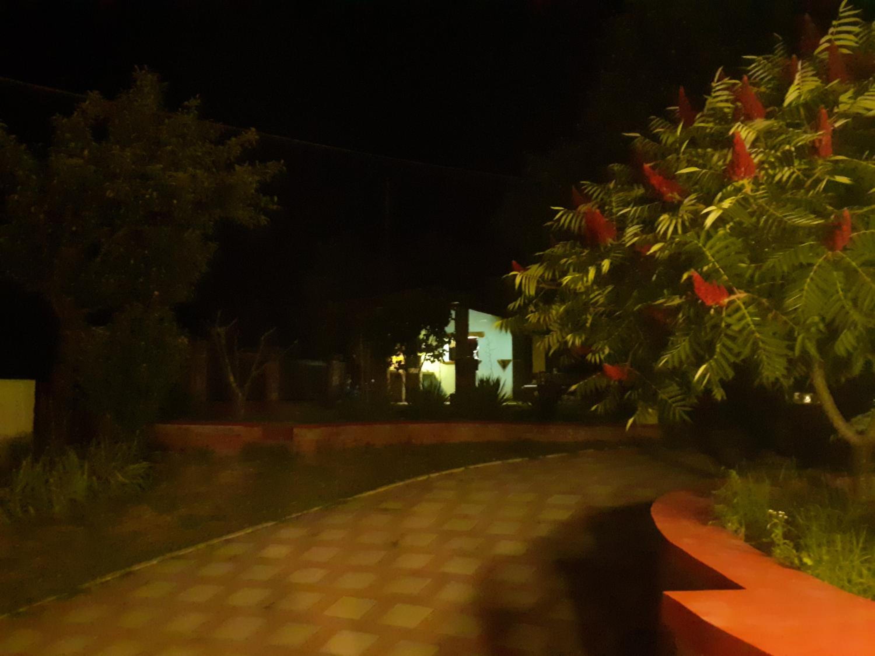 Photo 30