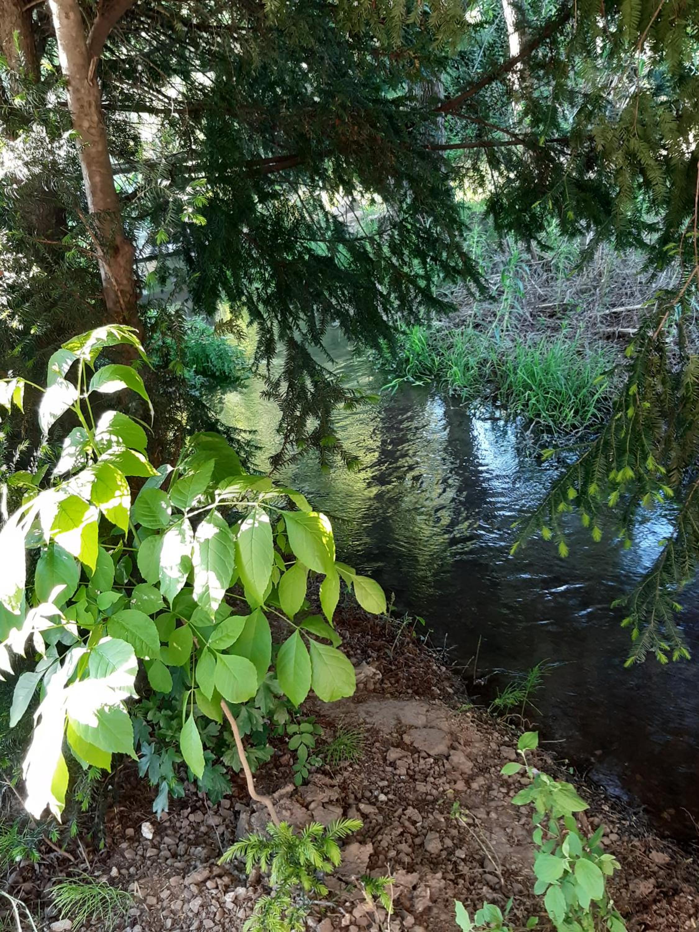 Photo 13