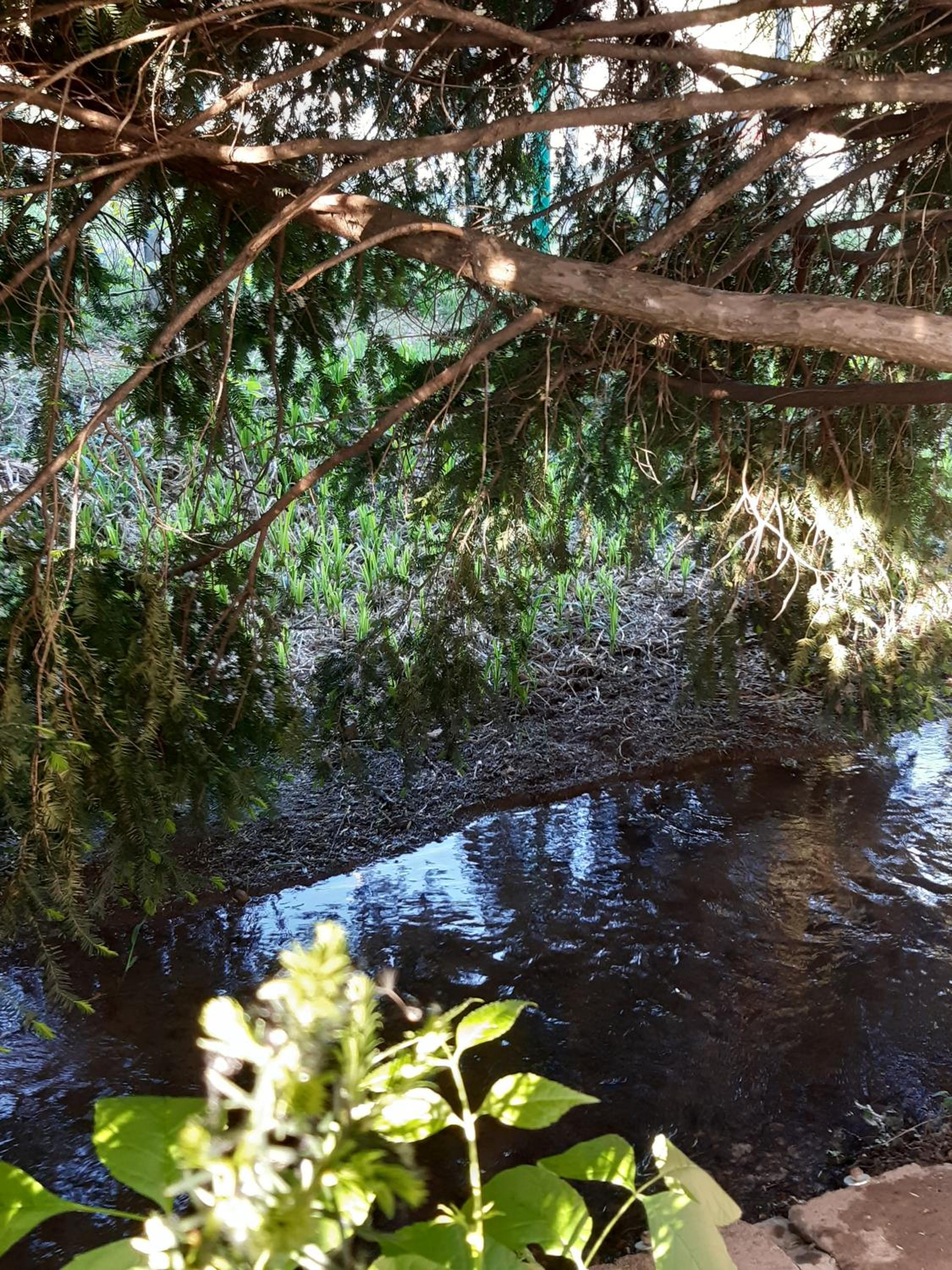 Photo 41