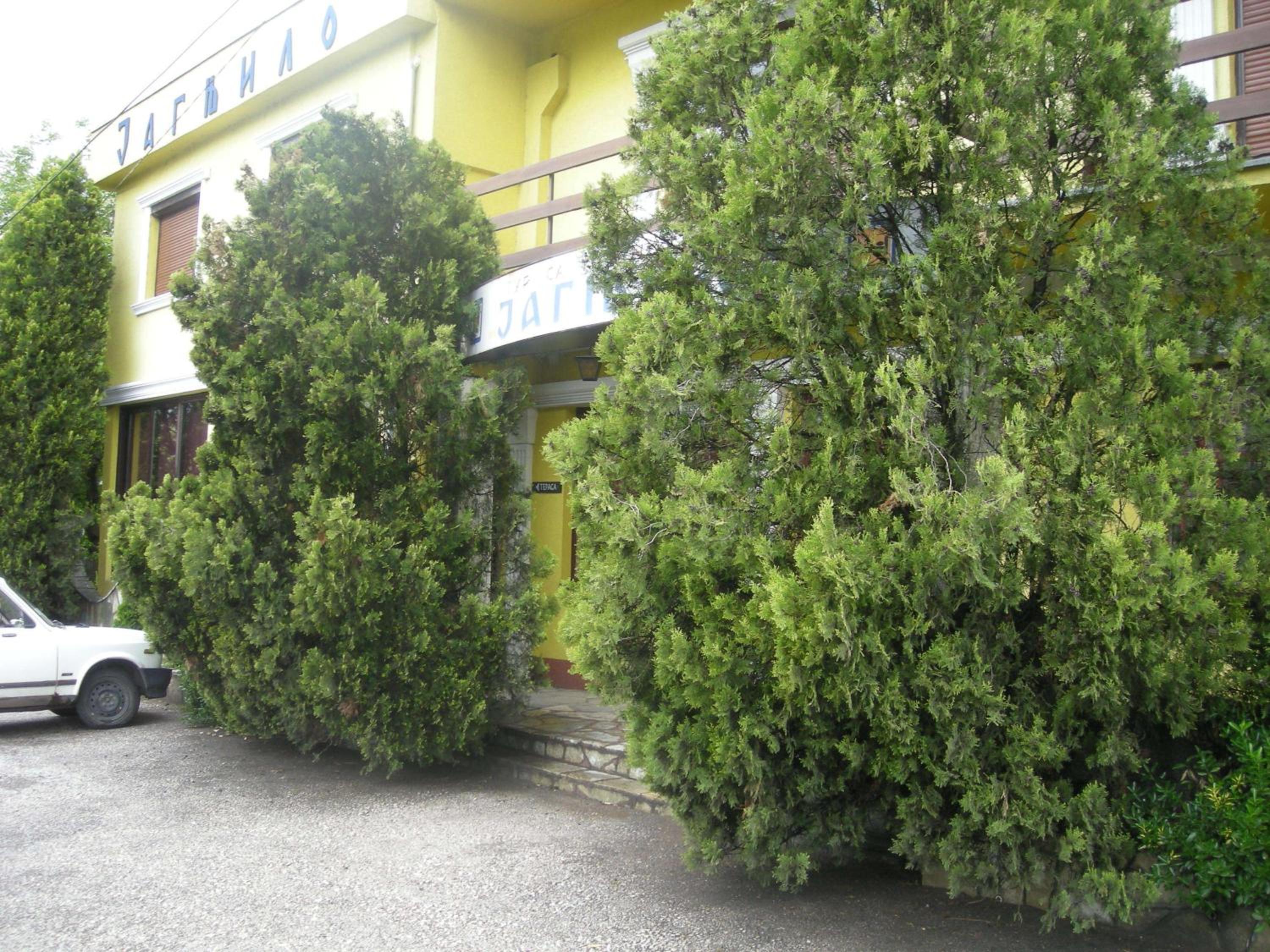 Photo 27