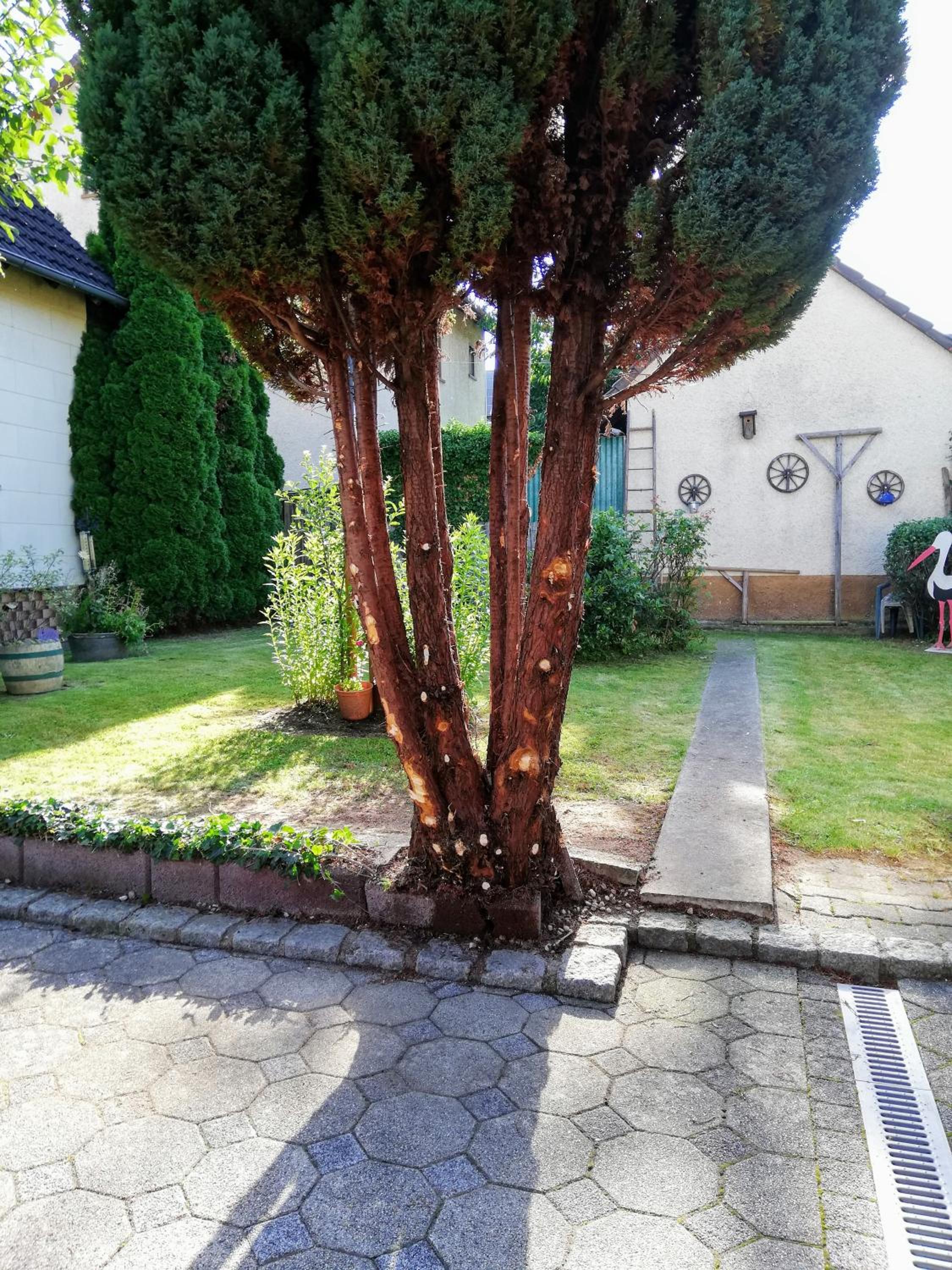 Ferienappartement Obrigheim - Property Image 2