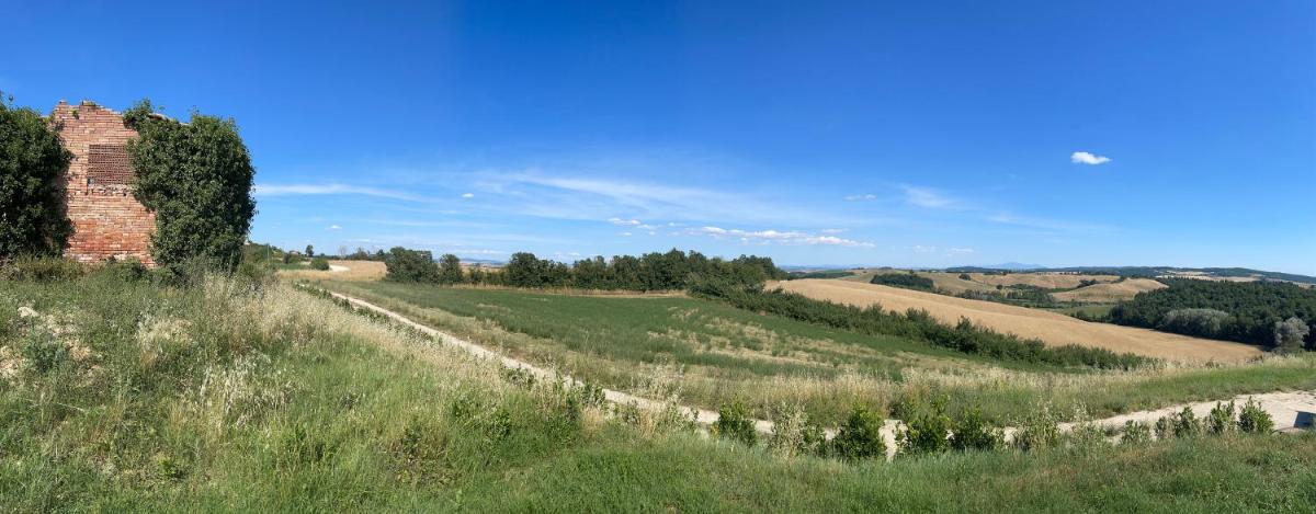 Podere Fogliano photo 3