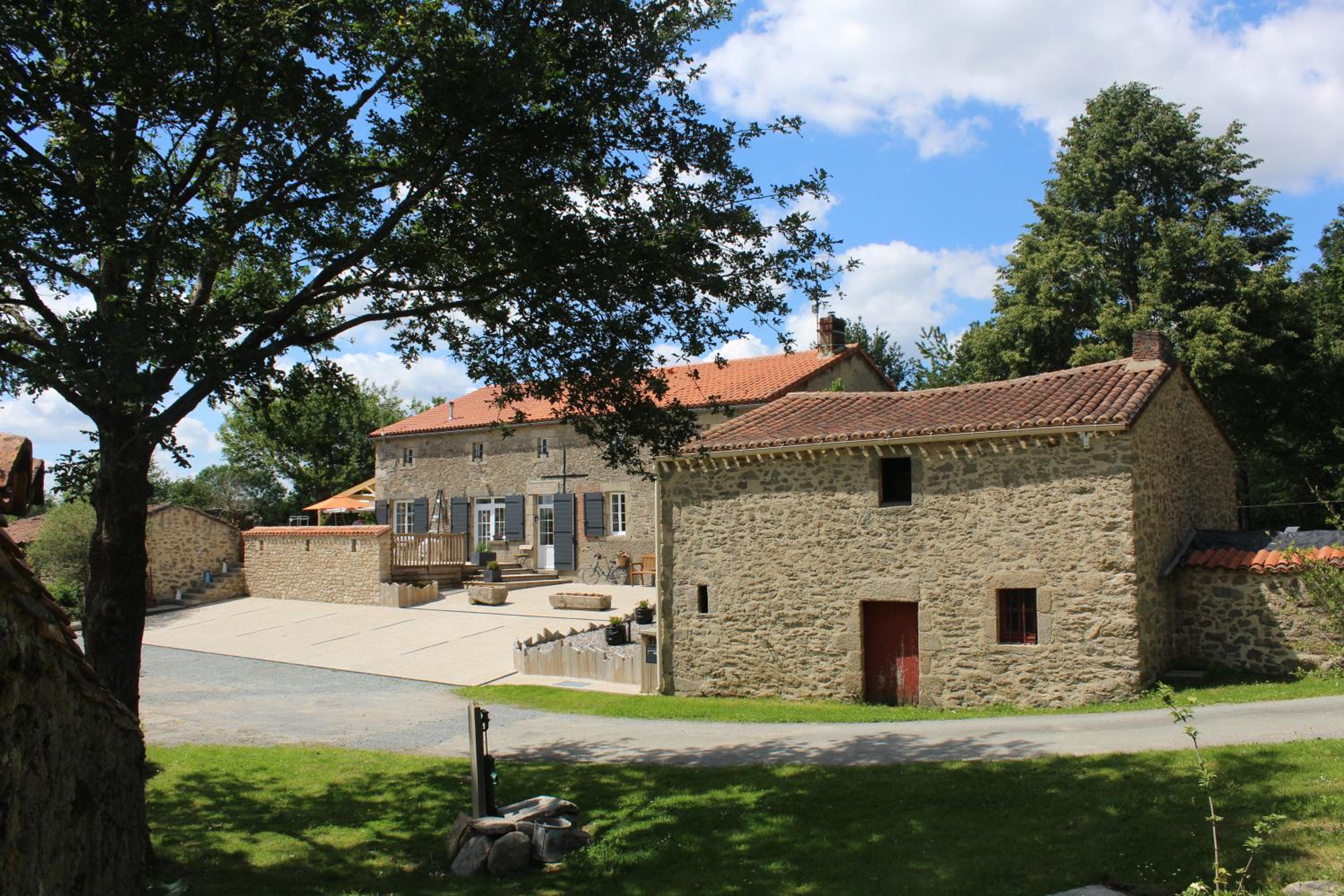 Photo 19