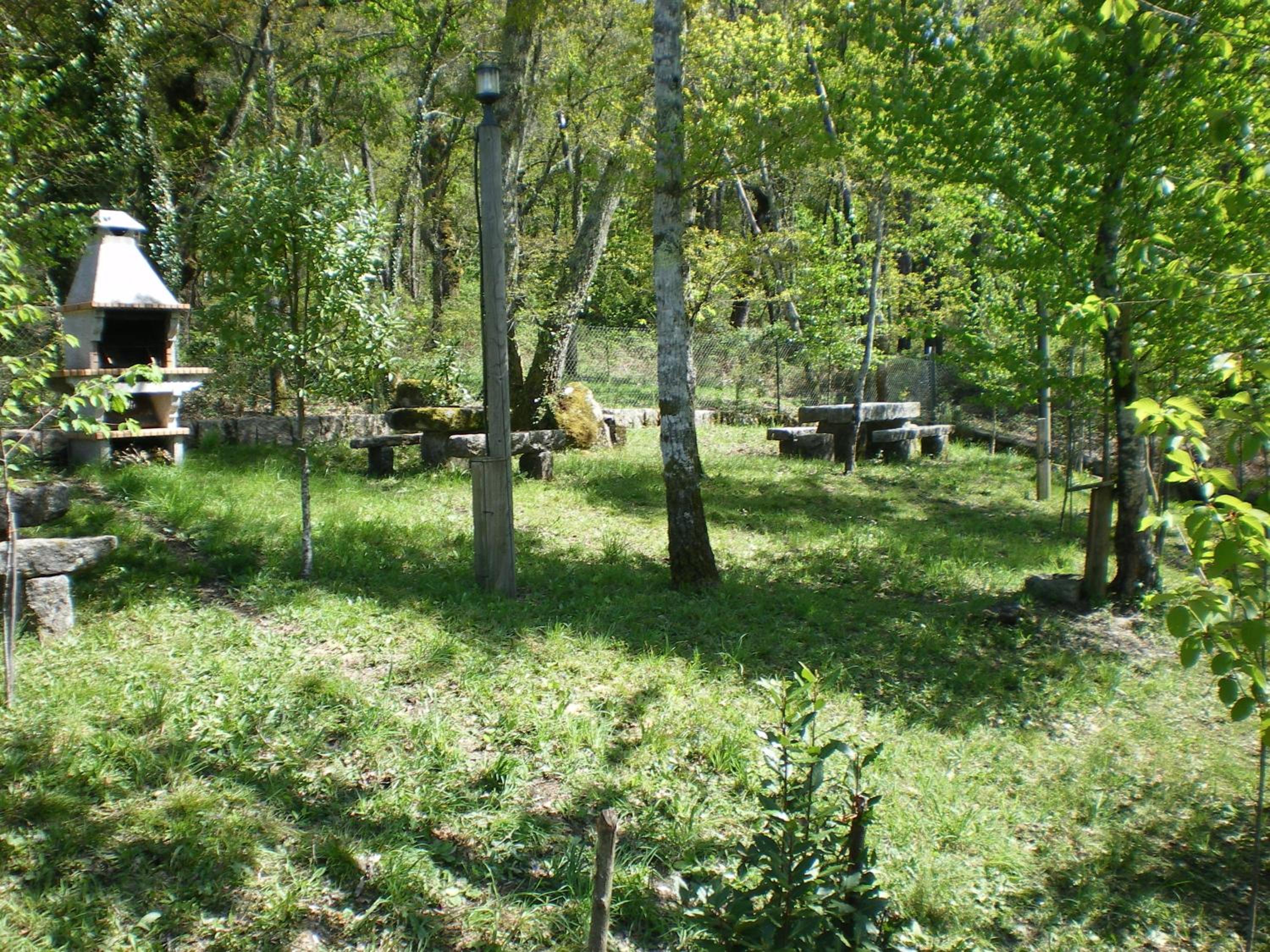 Photo 52