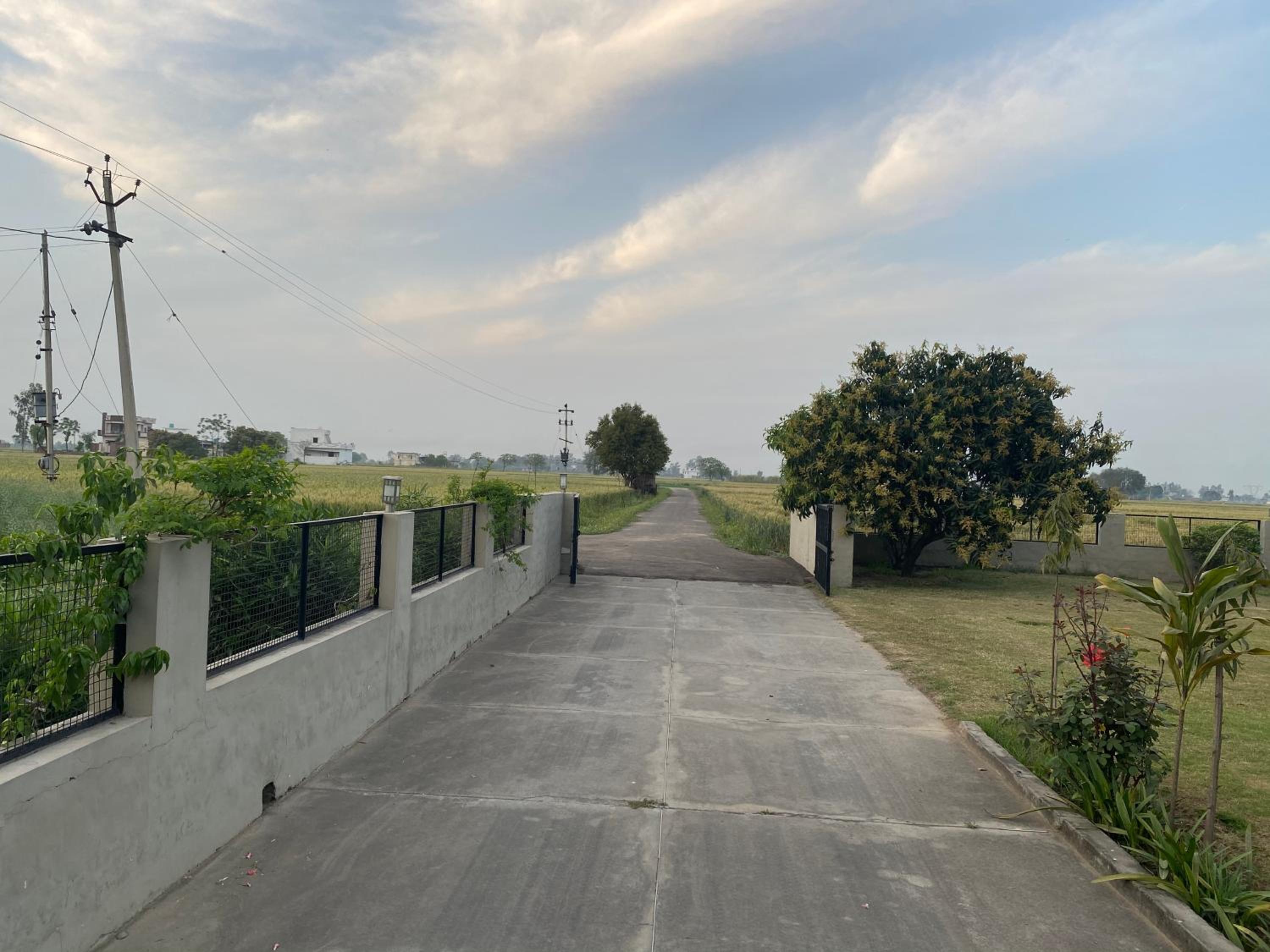Mango Grove Farm view 2