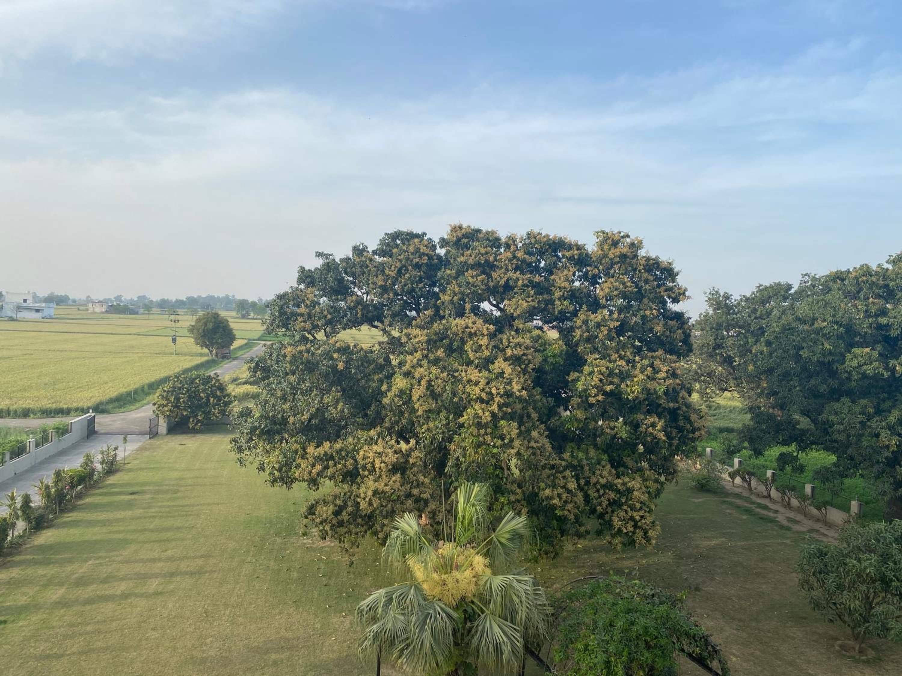 Mango Grove Farm view 5