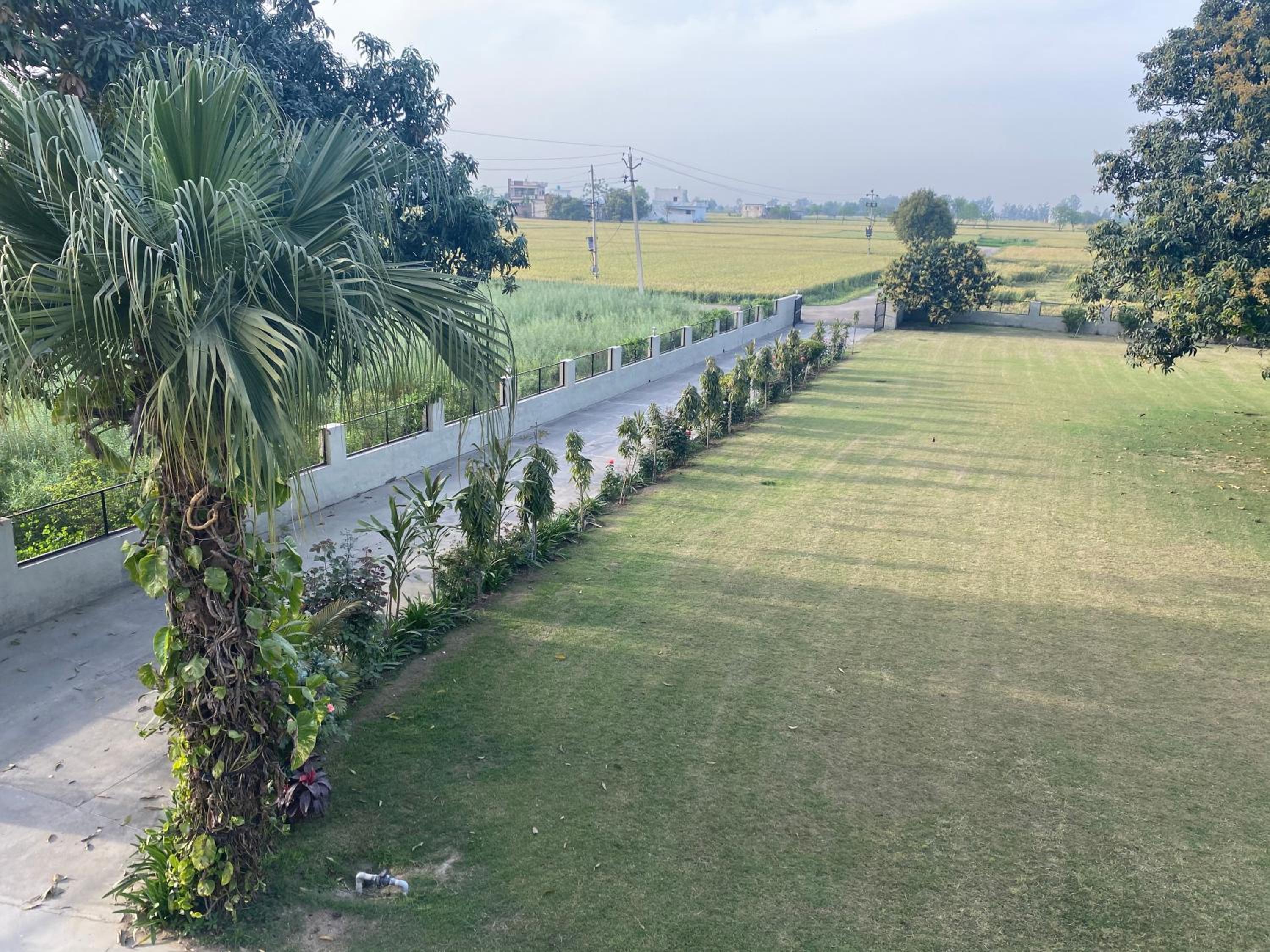 Mango Grove Farm view 4