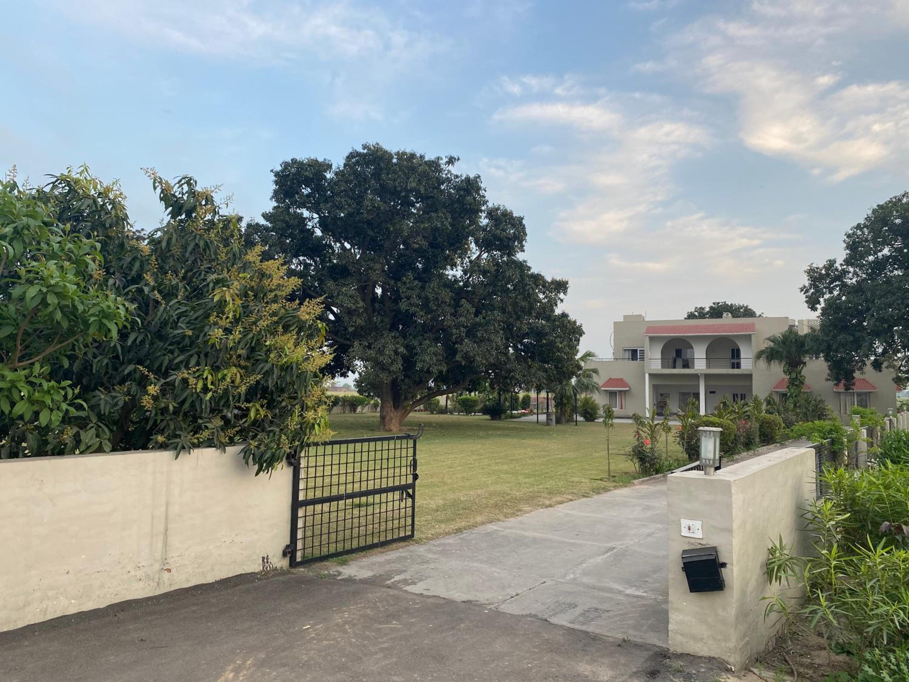 Mango Grove Farm view 3