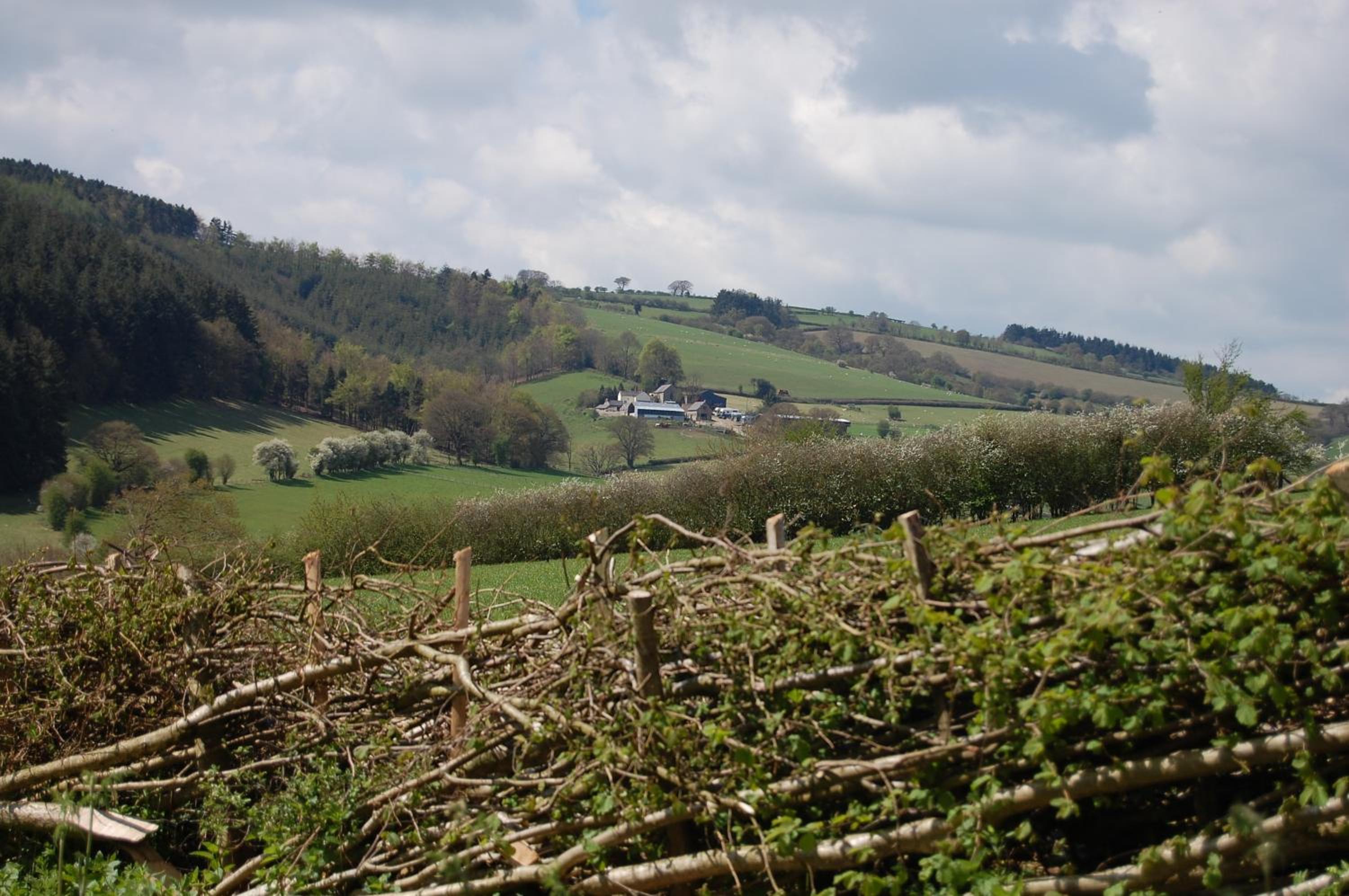 Middle Woodbatch B&B