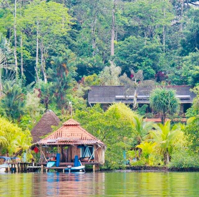 Hotel Dolphin Bay Hideaway - Image 1