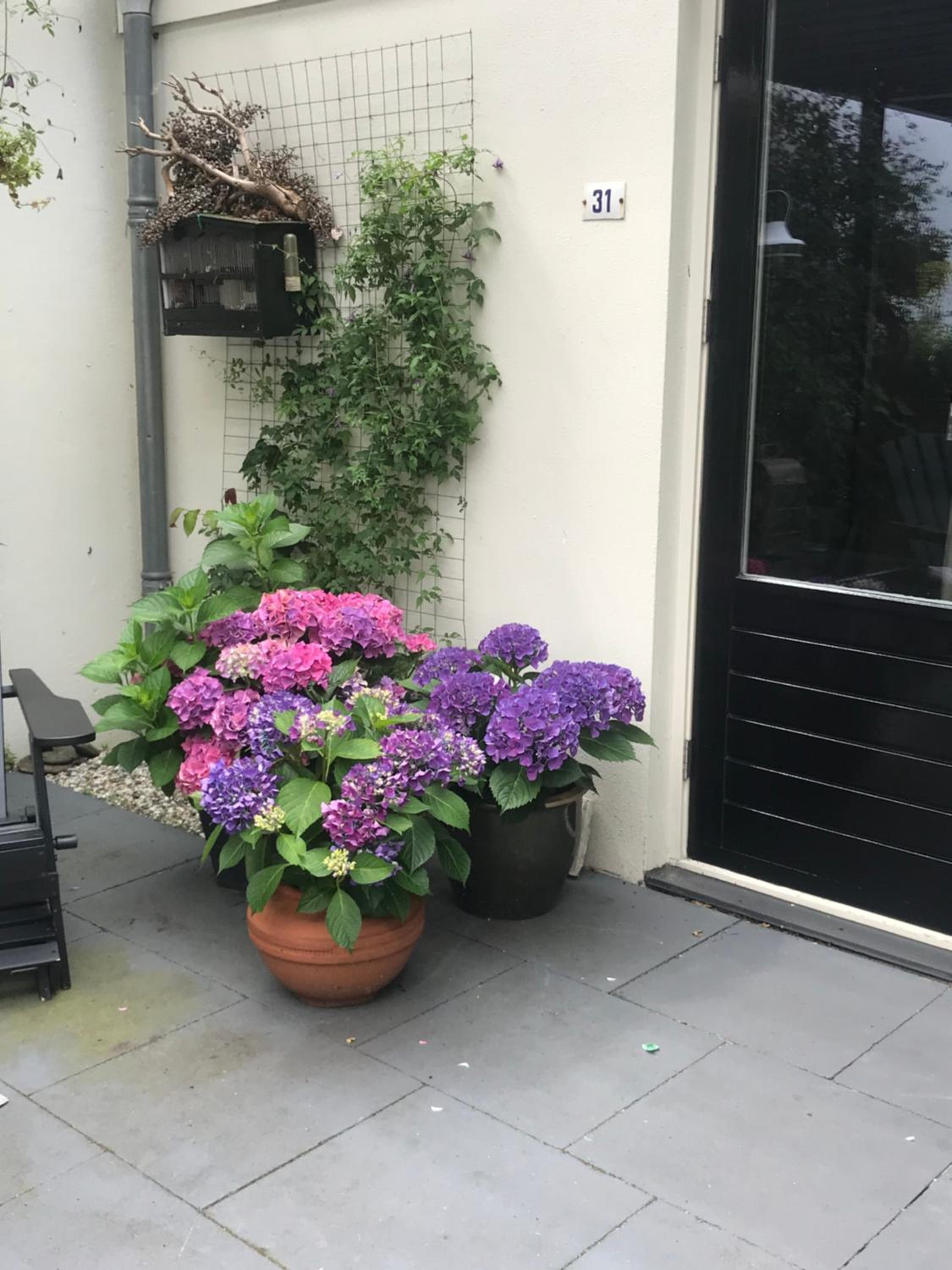 Bed & Breakfast Diemerbrug