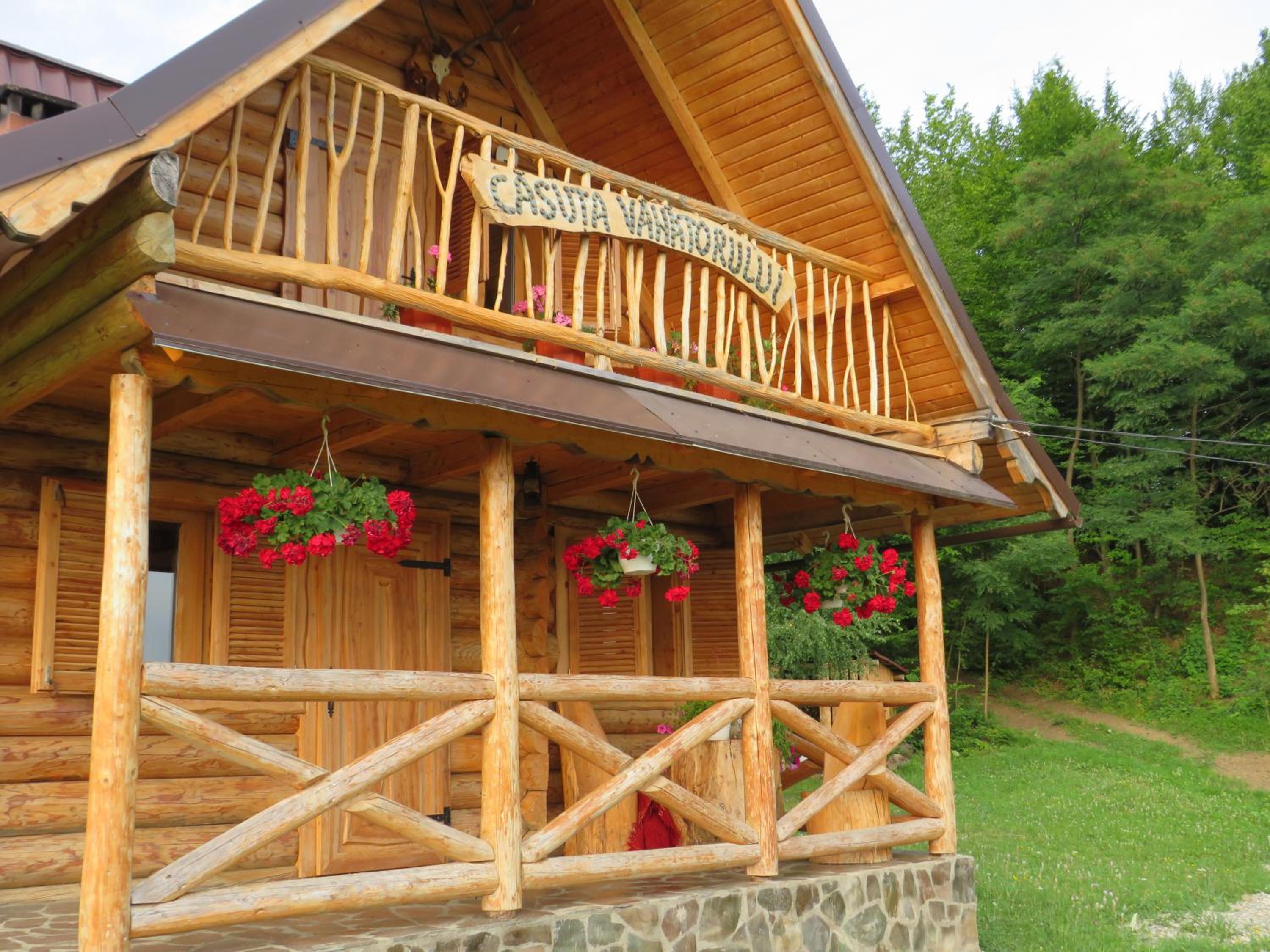 CĂSUȚA VÂNĂTORULUI view 4