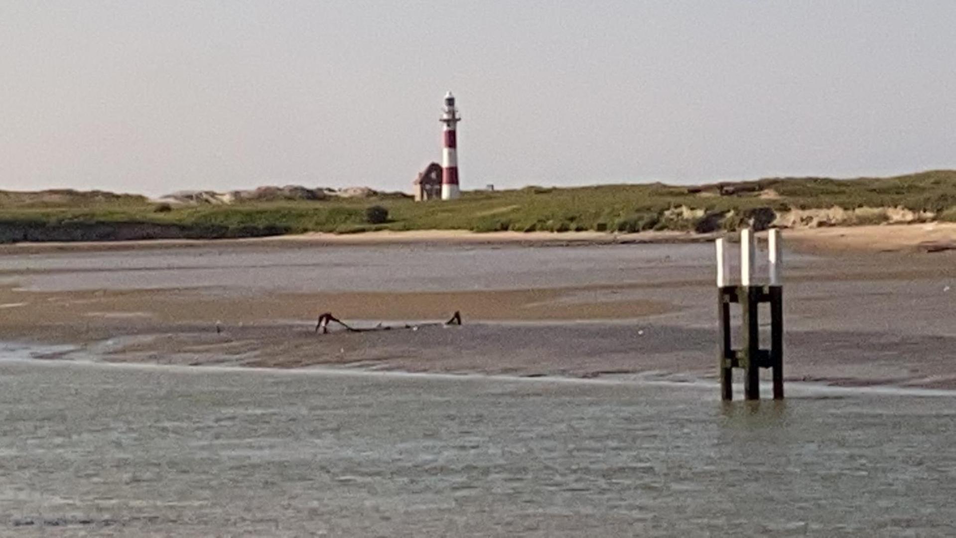 Ruim en zonnig 2 slaapkamer app met zongericht terras