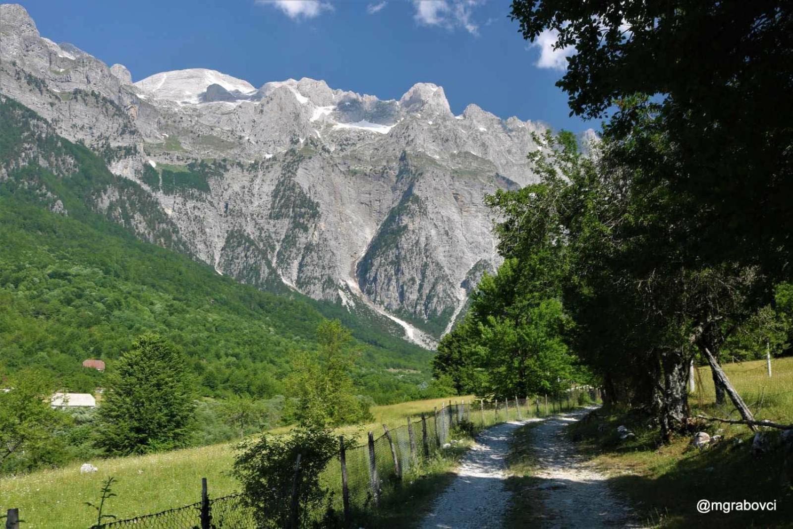Bujtina Terthorja