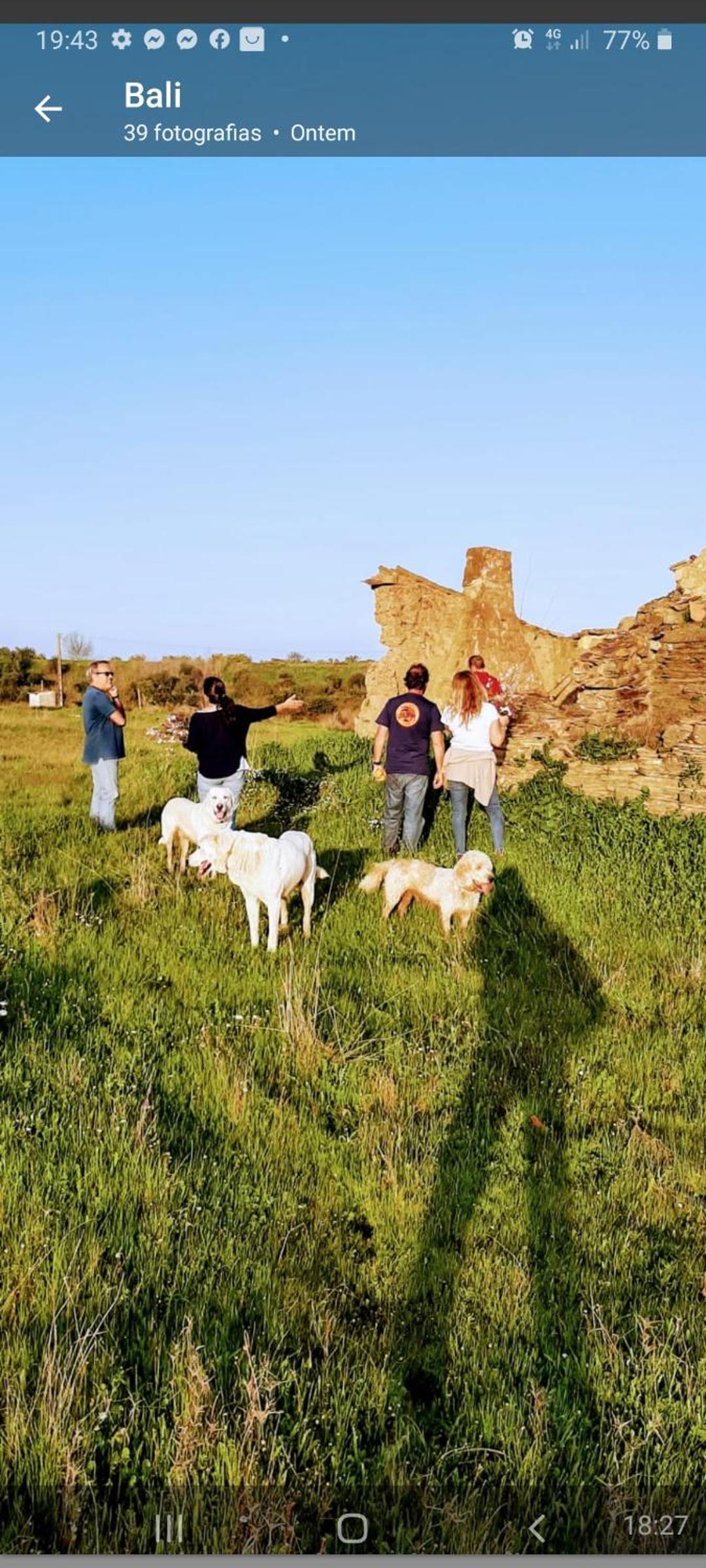 Monte da Figueira en Amareleja