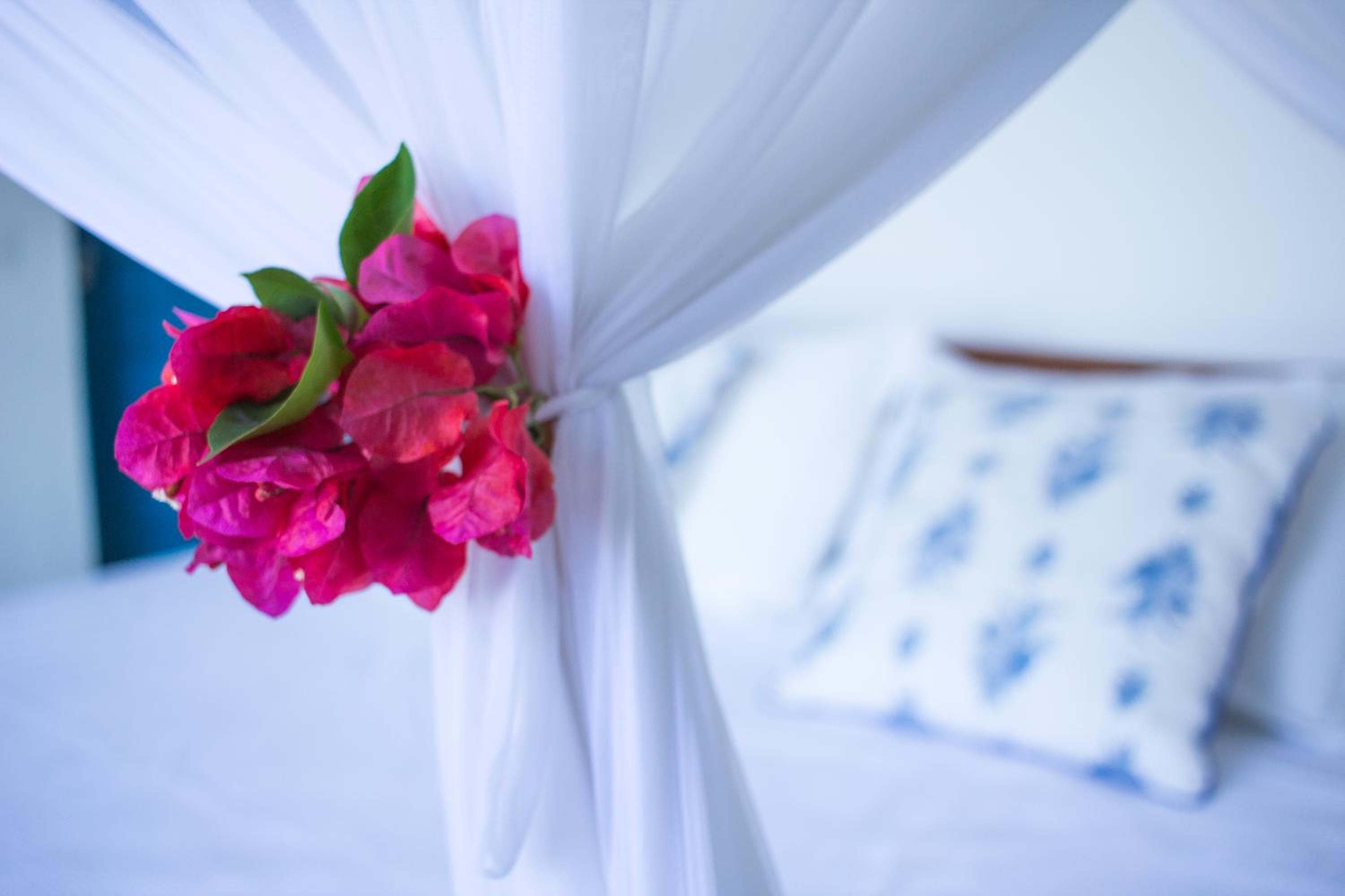 Bela Vista Hotel Boutique