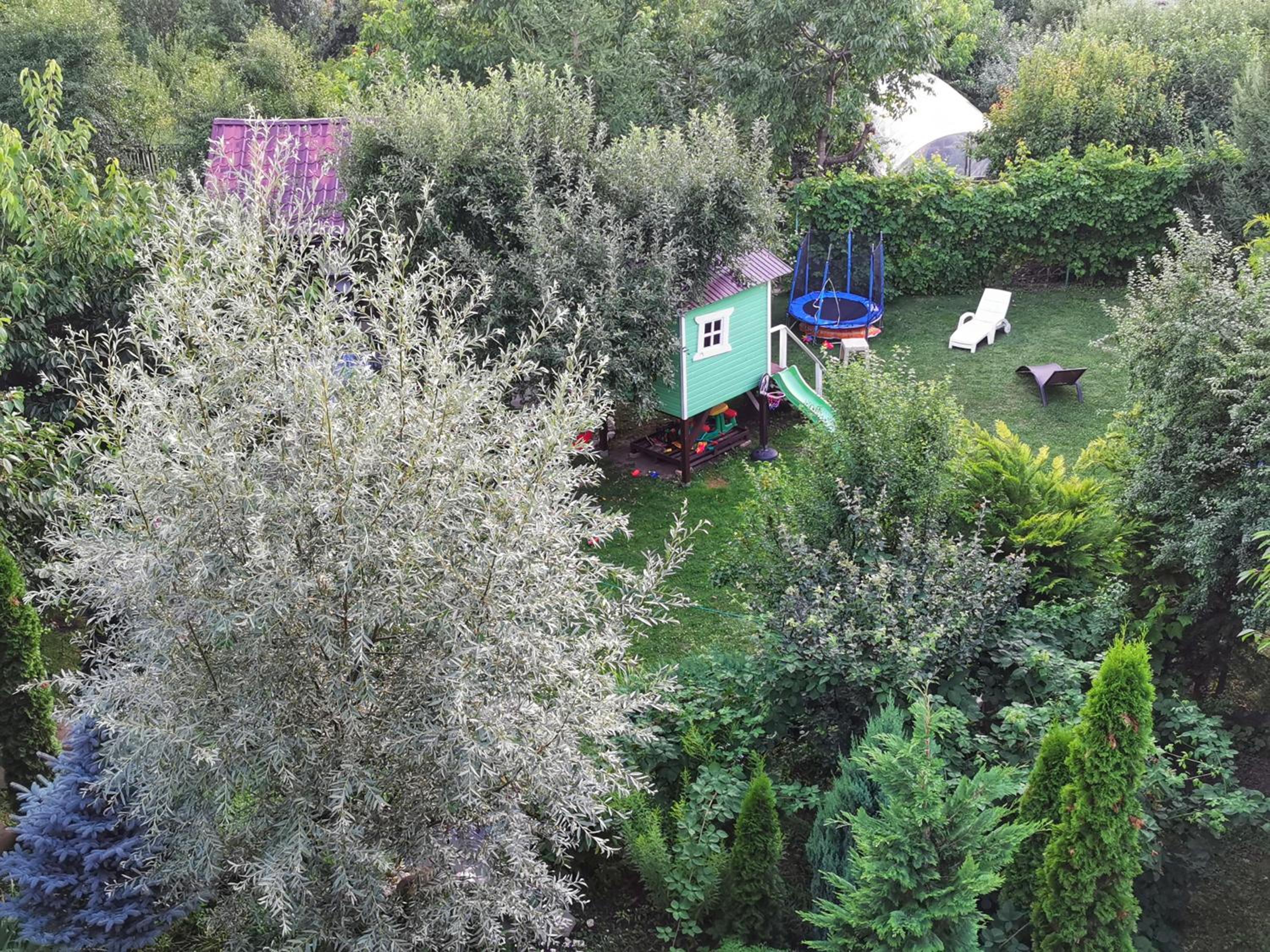 Photo 46