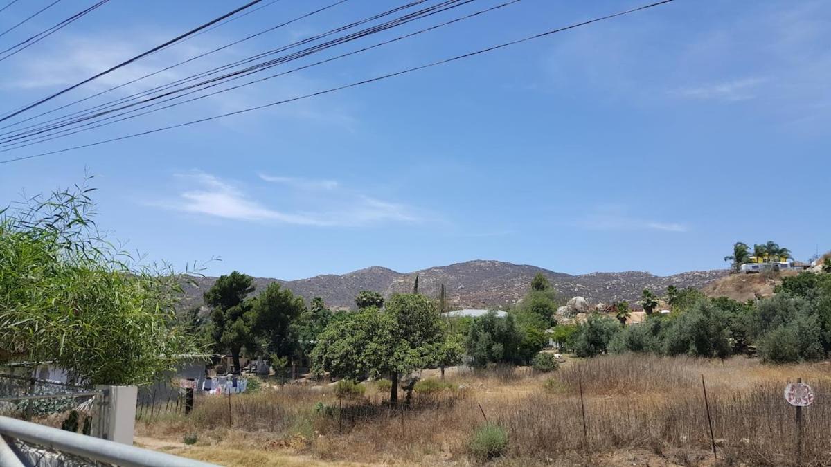 Photo 42
