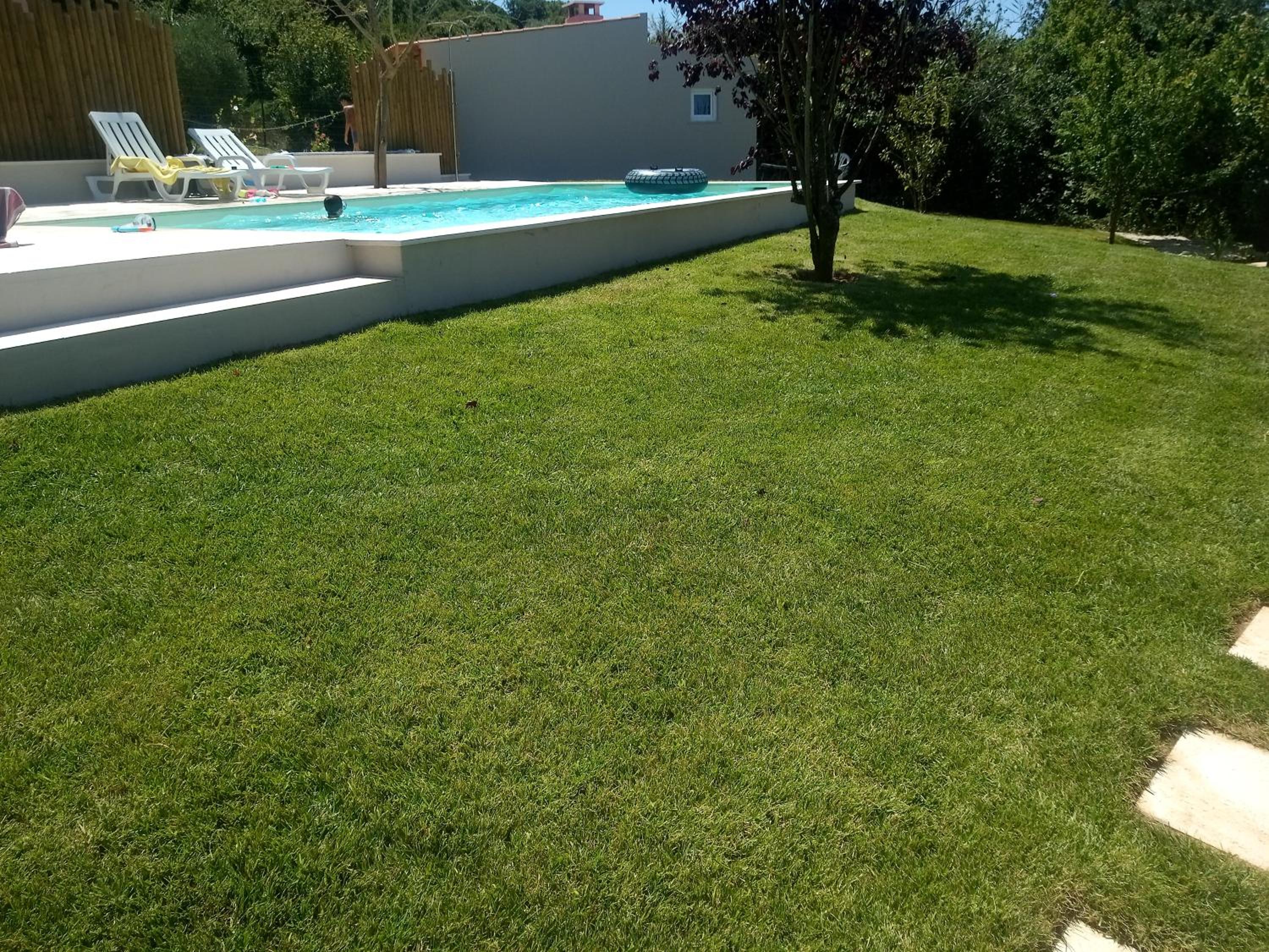 Photo 51