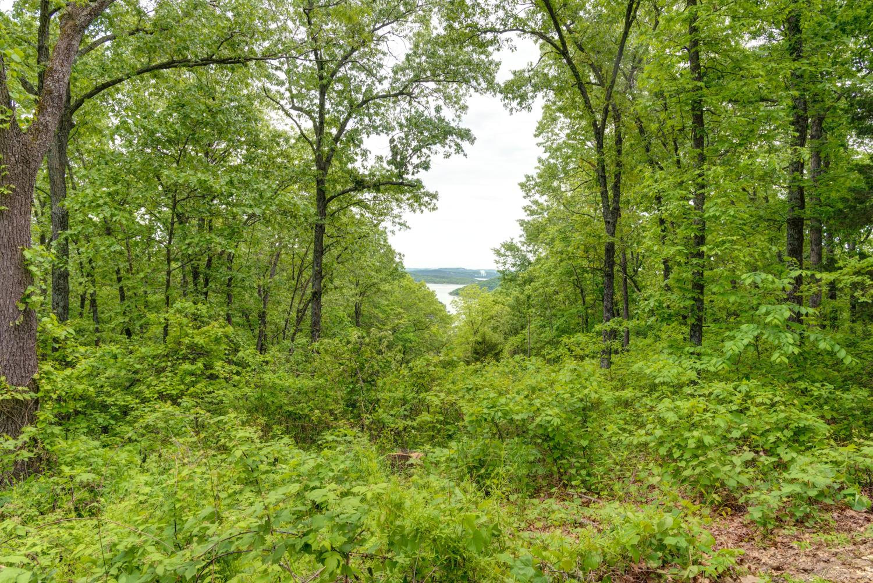 The Big Cabin view 4