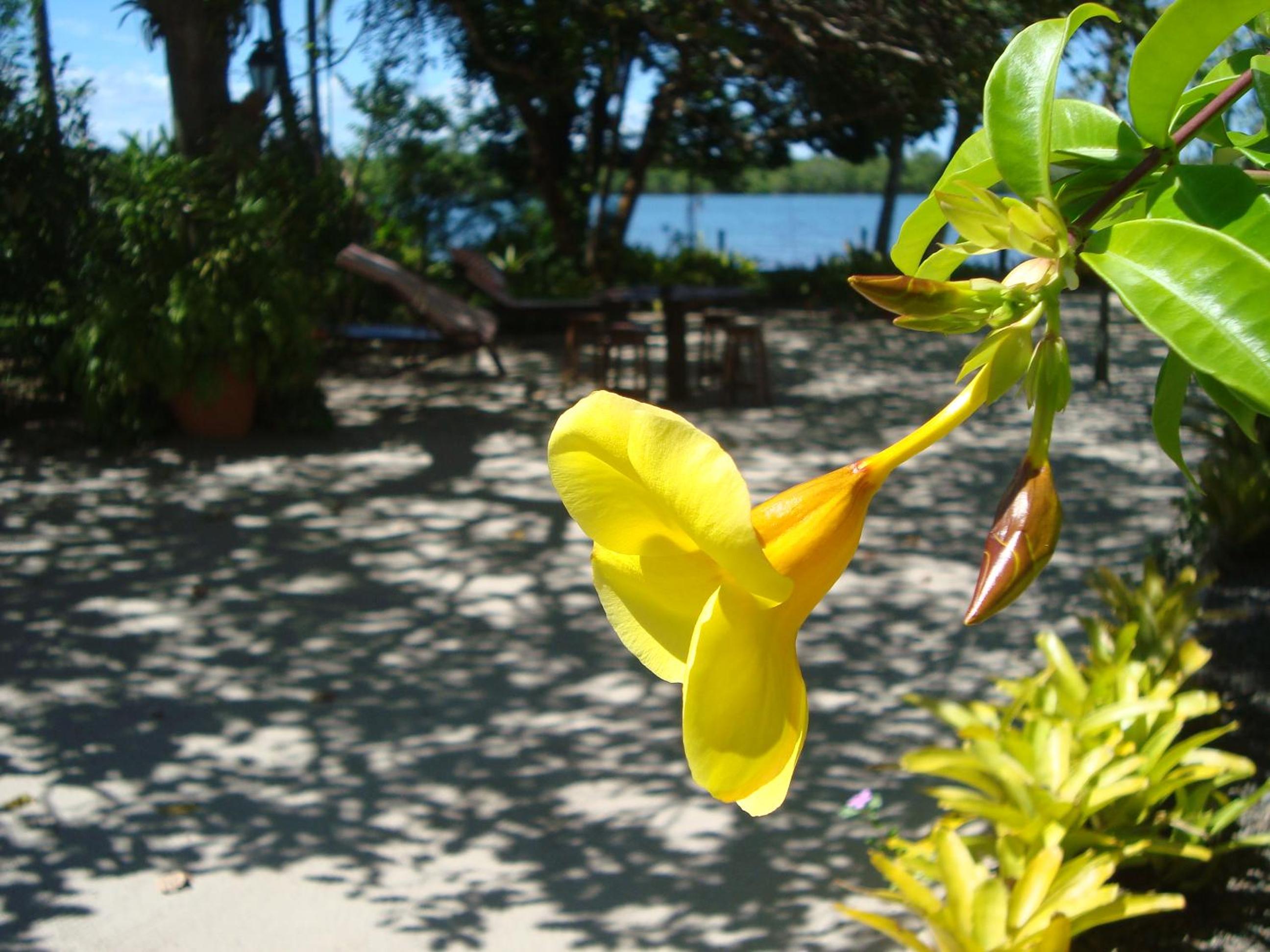 Casa Alegria, Piscina, 10 Hóspedes, 3 Suítes e Churrasqueira